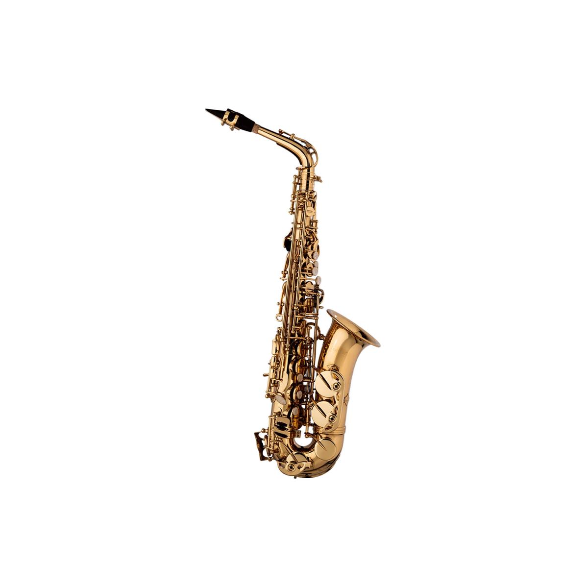 Stagg LV-AS4105 Alto Saxophone - Terry Carter Music Store