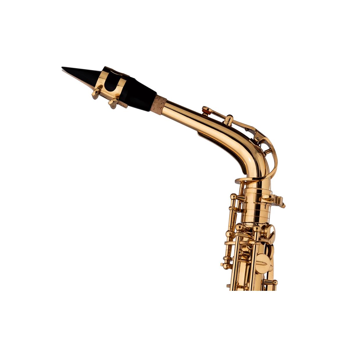 Stagg-LV-AS4105-Alto-Saxophone-2 | Terry Carter Music Store