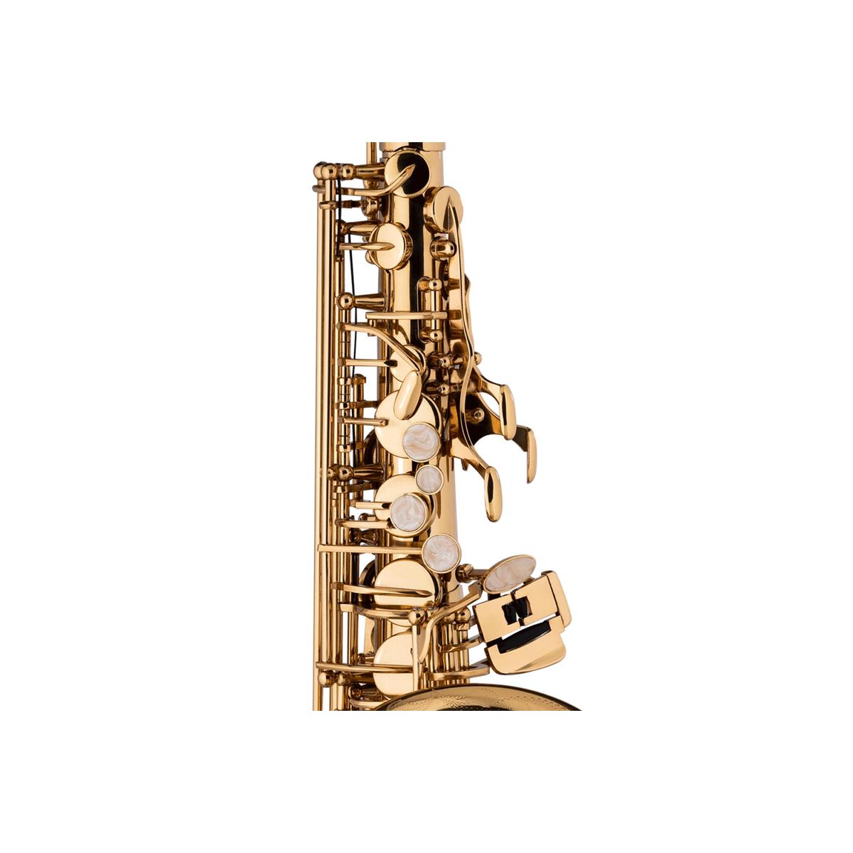 Stagg-LV-AS4105-Alto-Saxophone-4 | Terry Carter Music Store