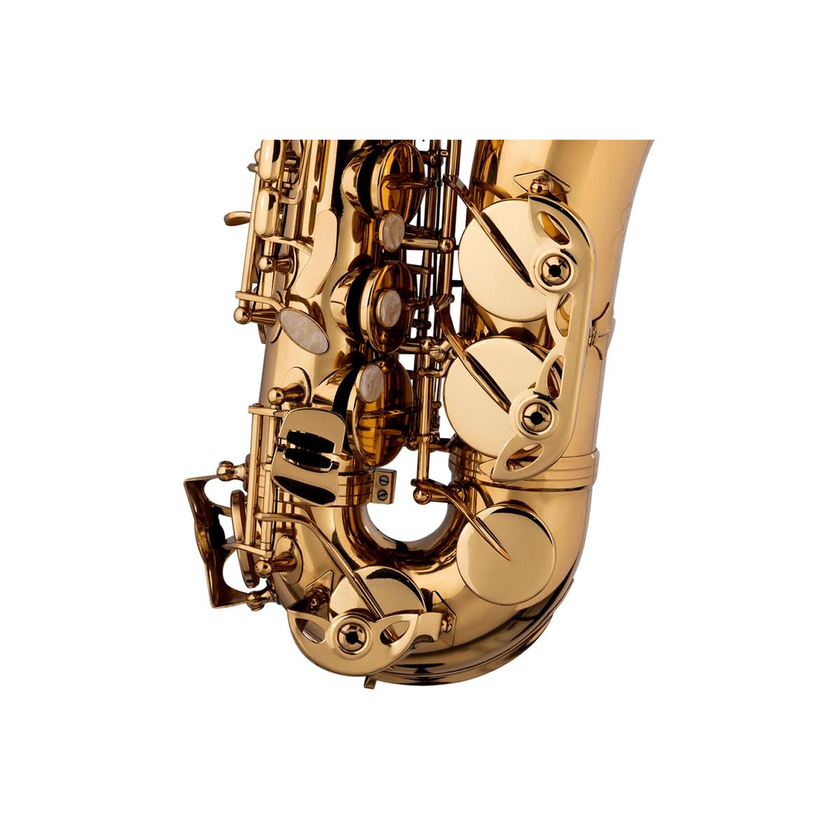 Stagg-LV-AS4105-Alto-Saxophone-5 | Terry Carter Music Store