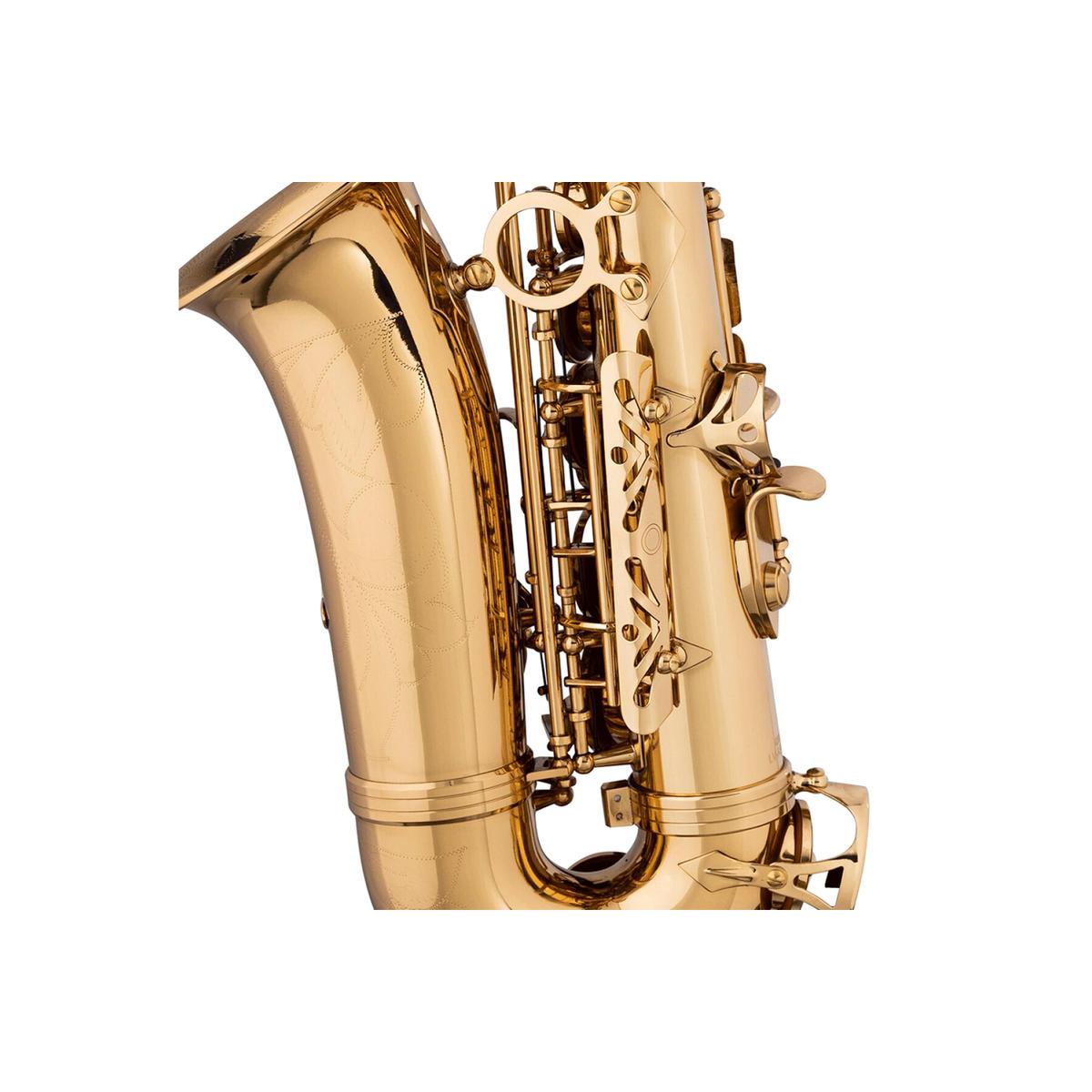 Stagg-LV-AS4105-Alto-Saxophone-6 | Terry Carter Music Store