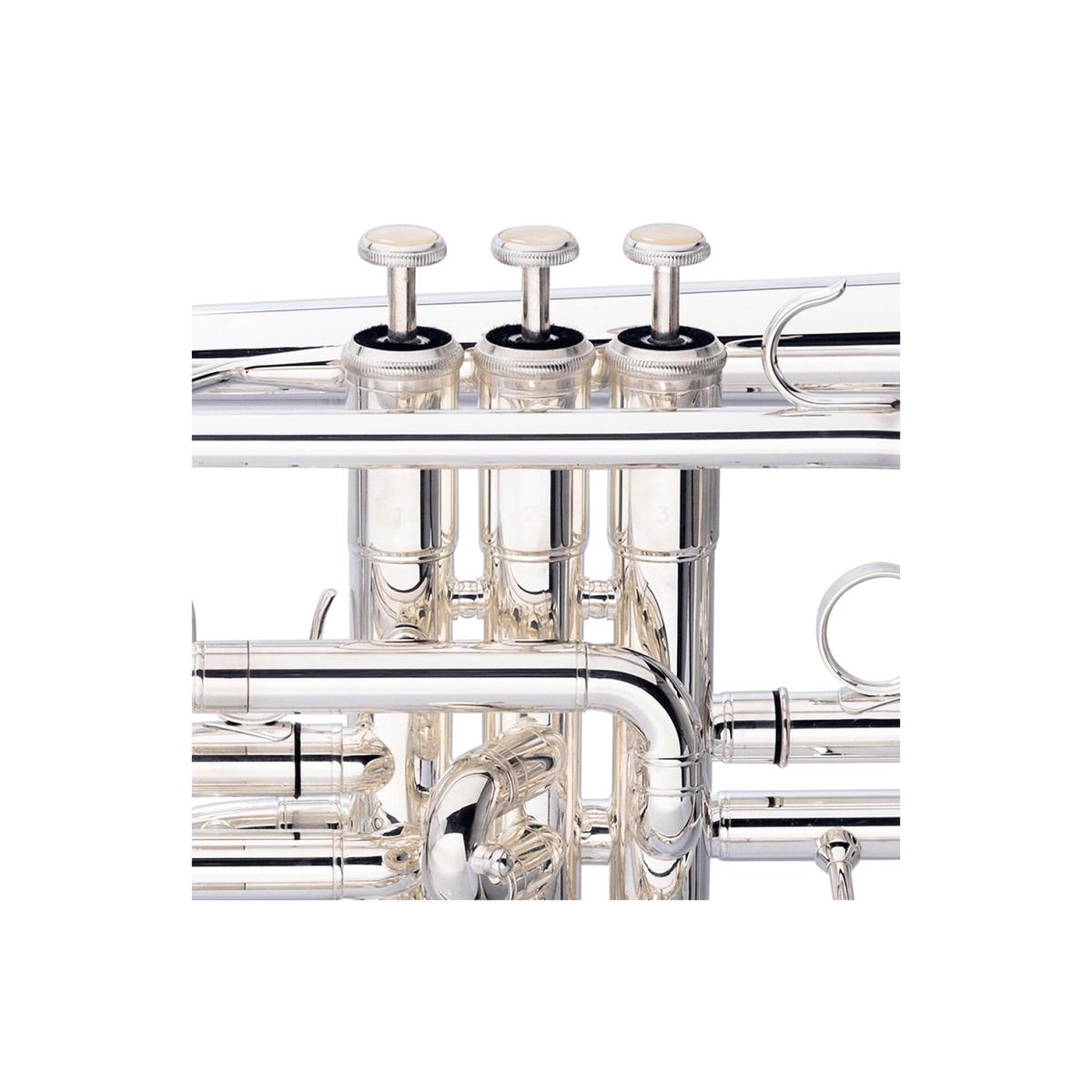 Stagg-LV-CR5201-Bb-Cornet-3 | Terry Carter Music Store
