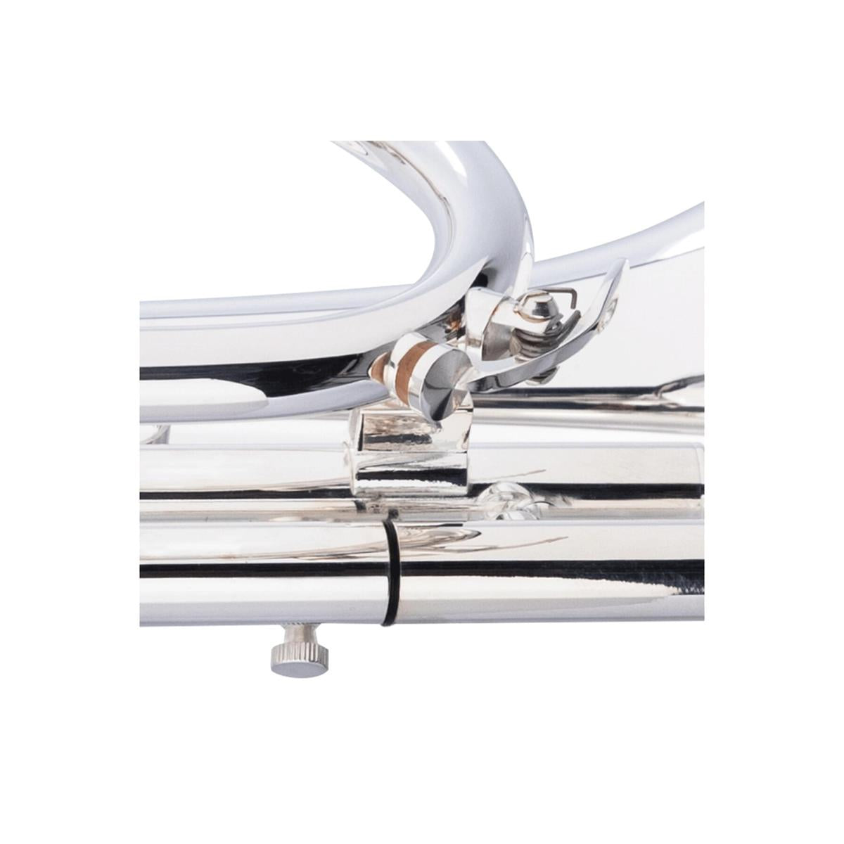 Stagg-LV-CR5201-Bb-Cornet-6 | Terry Carter Music Store