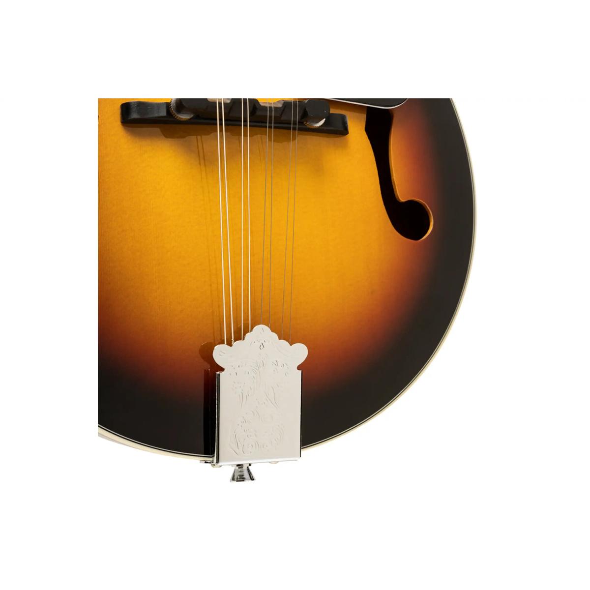 Stagg-M20-S-Bluegrass-Mandolin3 | Terry Carter Music Store