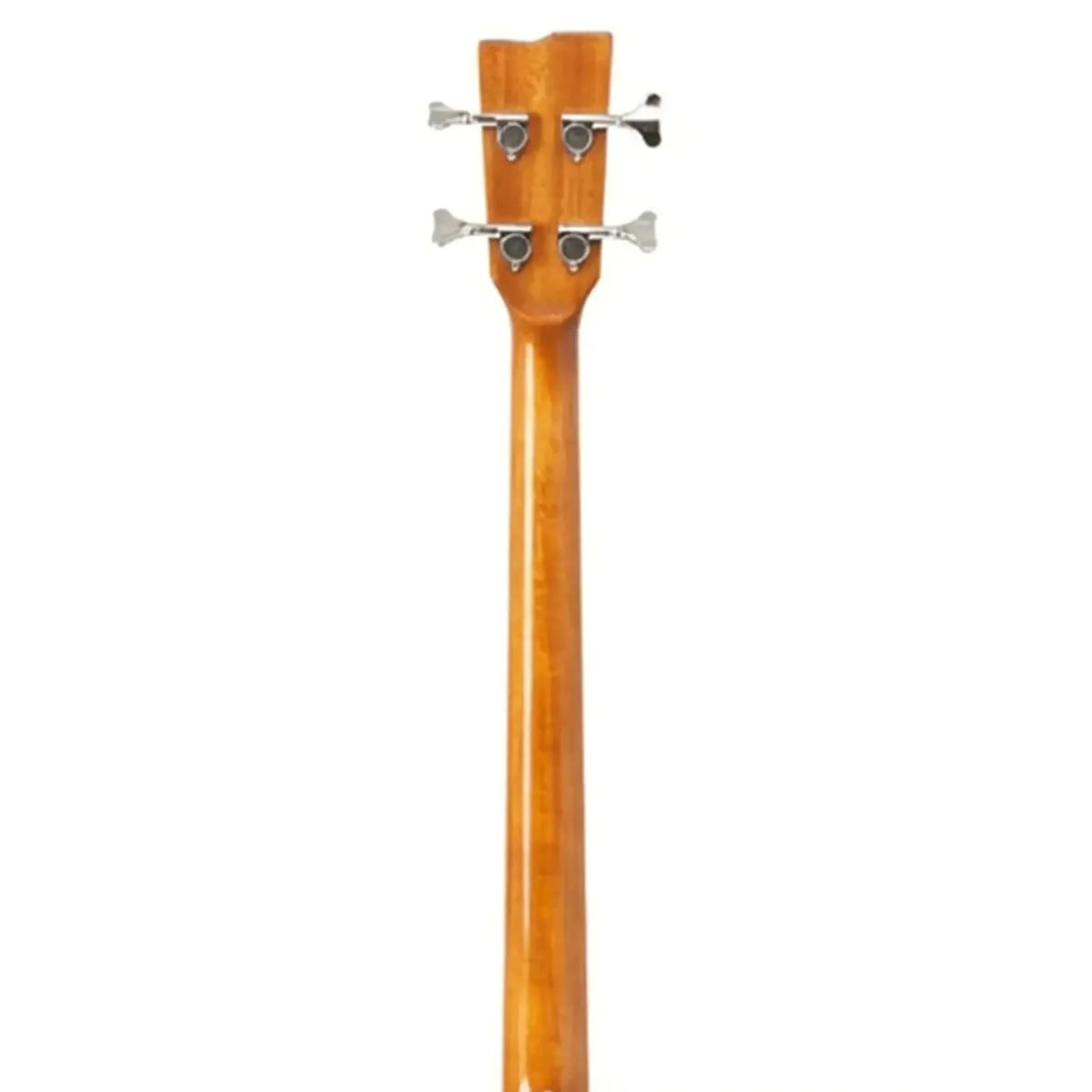 Stagg-SA40BASS-ACE-N6 | Terry Carter Music Store