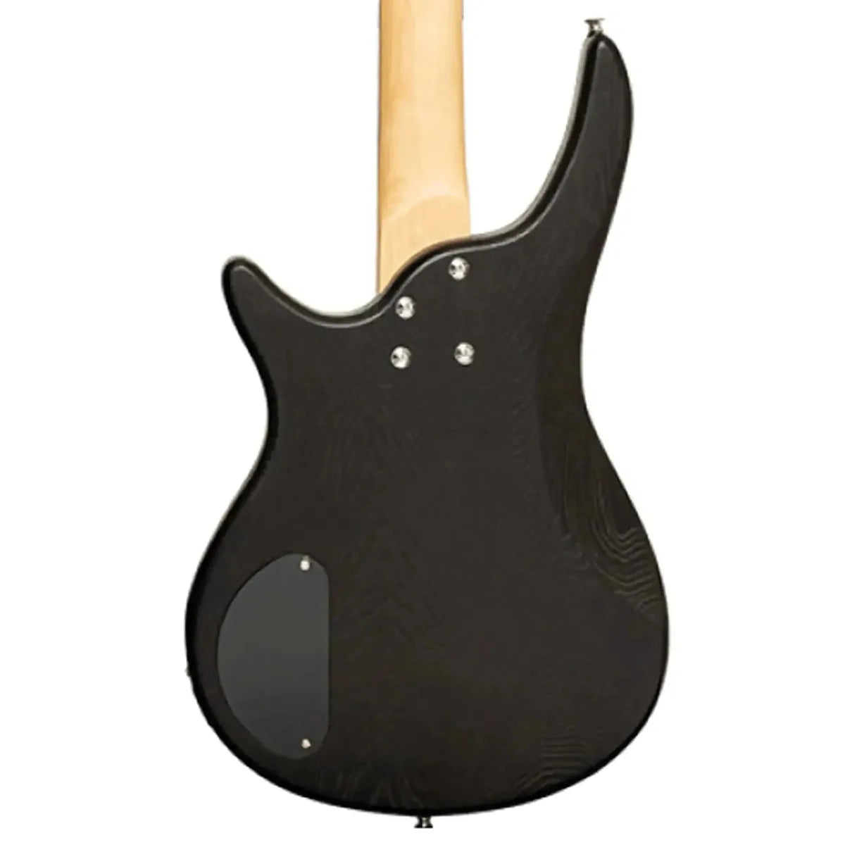 Stagg-SBF-40-Electric-Bassblk2 | Terry Carter Music Store