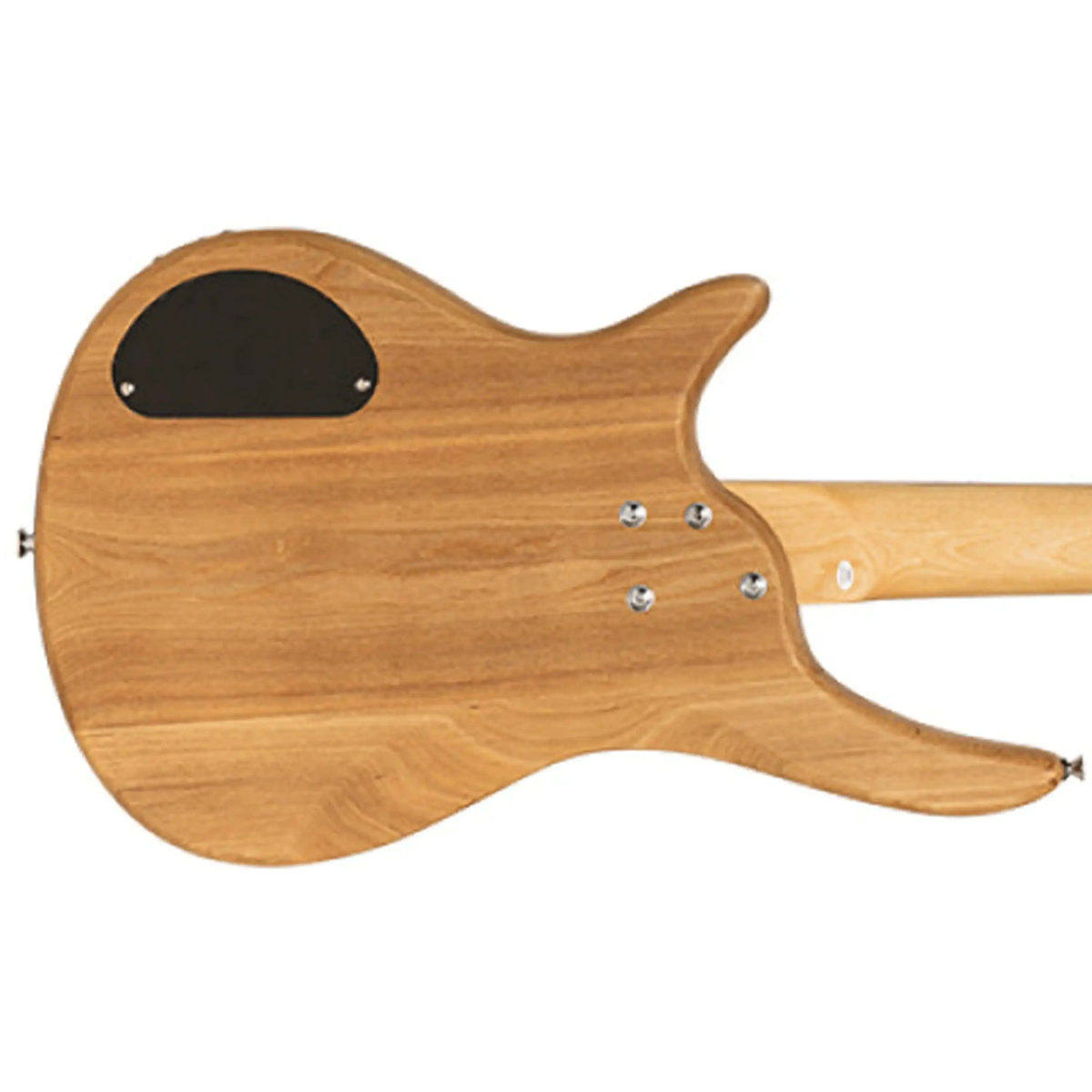 Stagg-SBF-40-Electric-Bassnat2 | Terry Carter Music Store