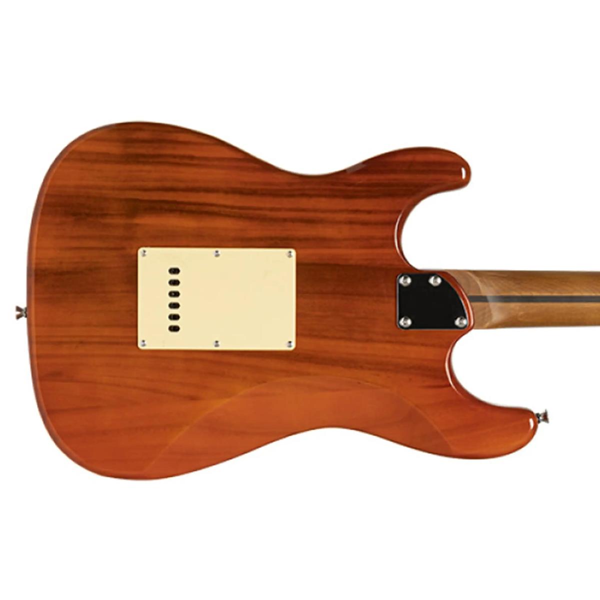 Stagg-SES-55-Electric-Guitarstf1 | Terry Carter Music Store