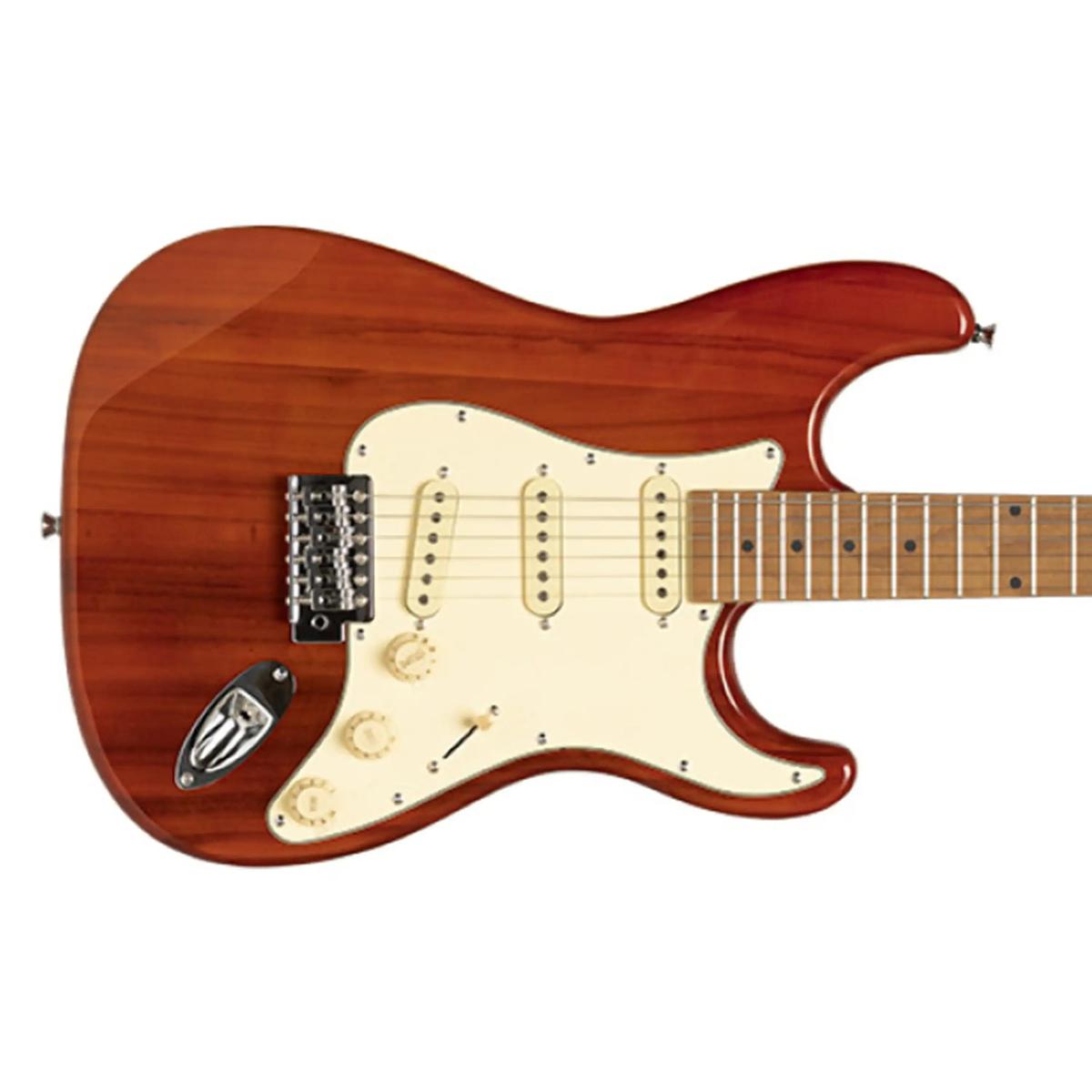Stagg-SES-55-Electric-Guitarstf2 | Terry Carter Music Store
