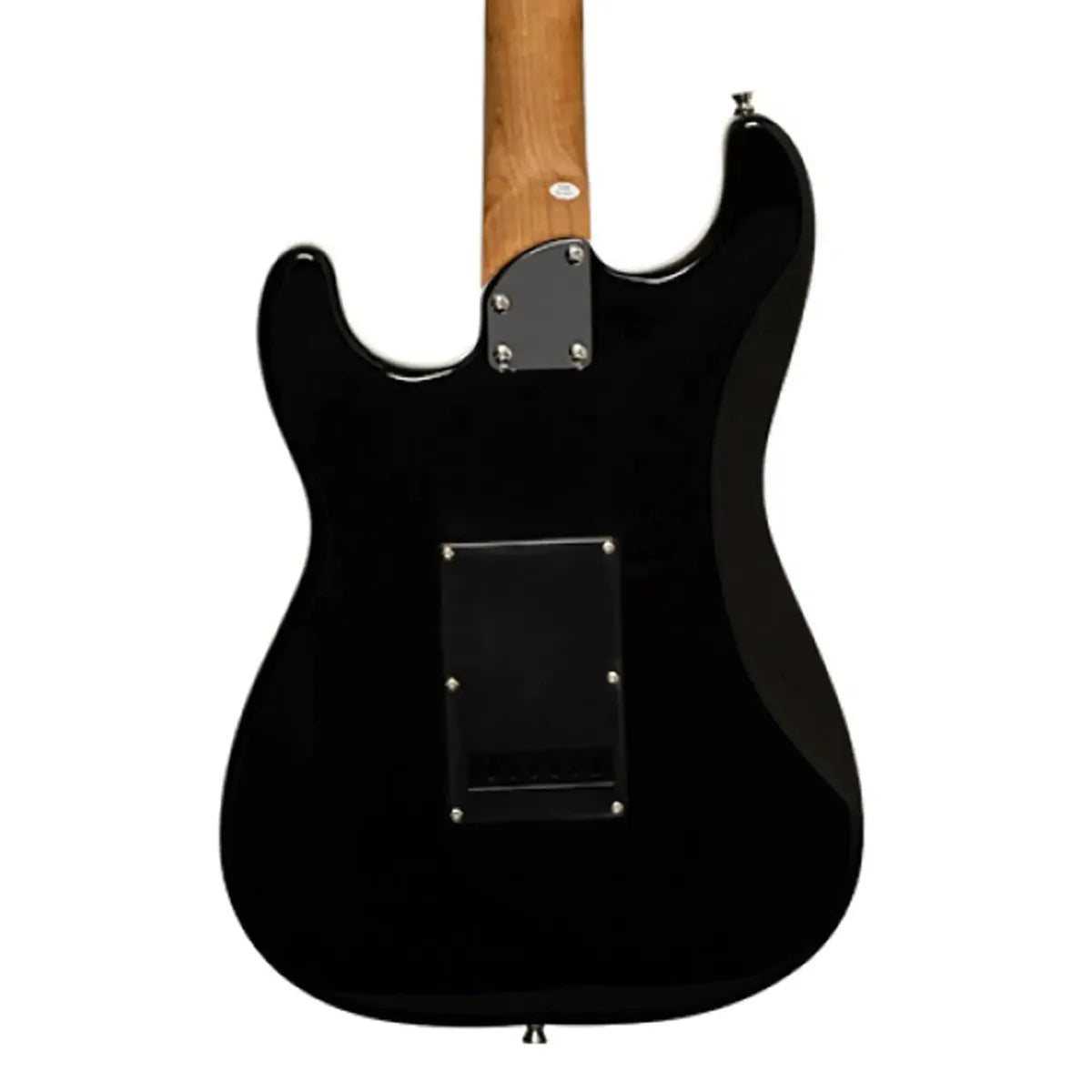 Stagg-SES-60-Electric-Guitarblk1 | Terry Carter Music Store