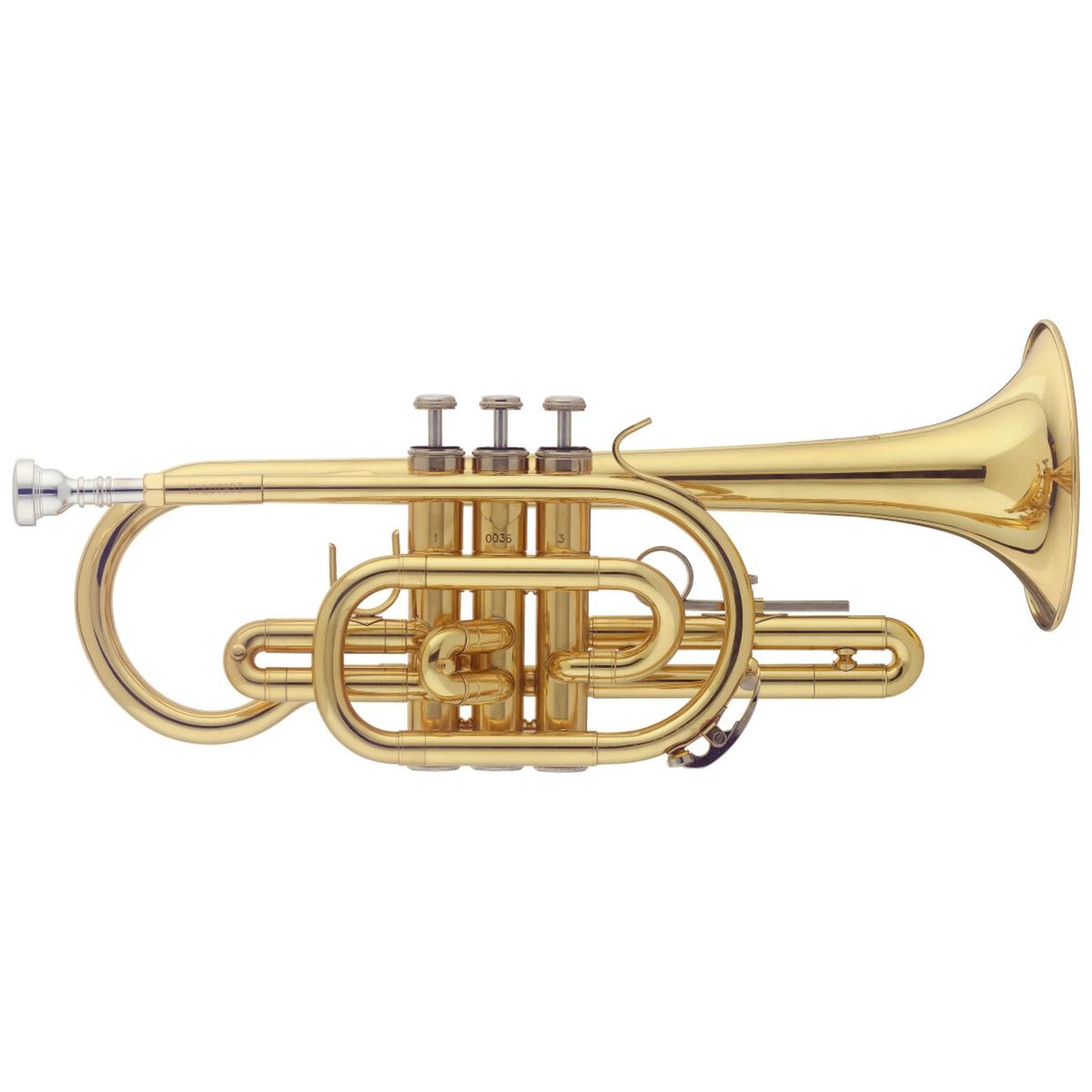 Stagg-WS-CR215-Bb-Cornet-1 | Terry Carter Music Store