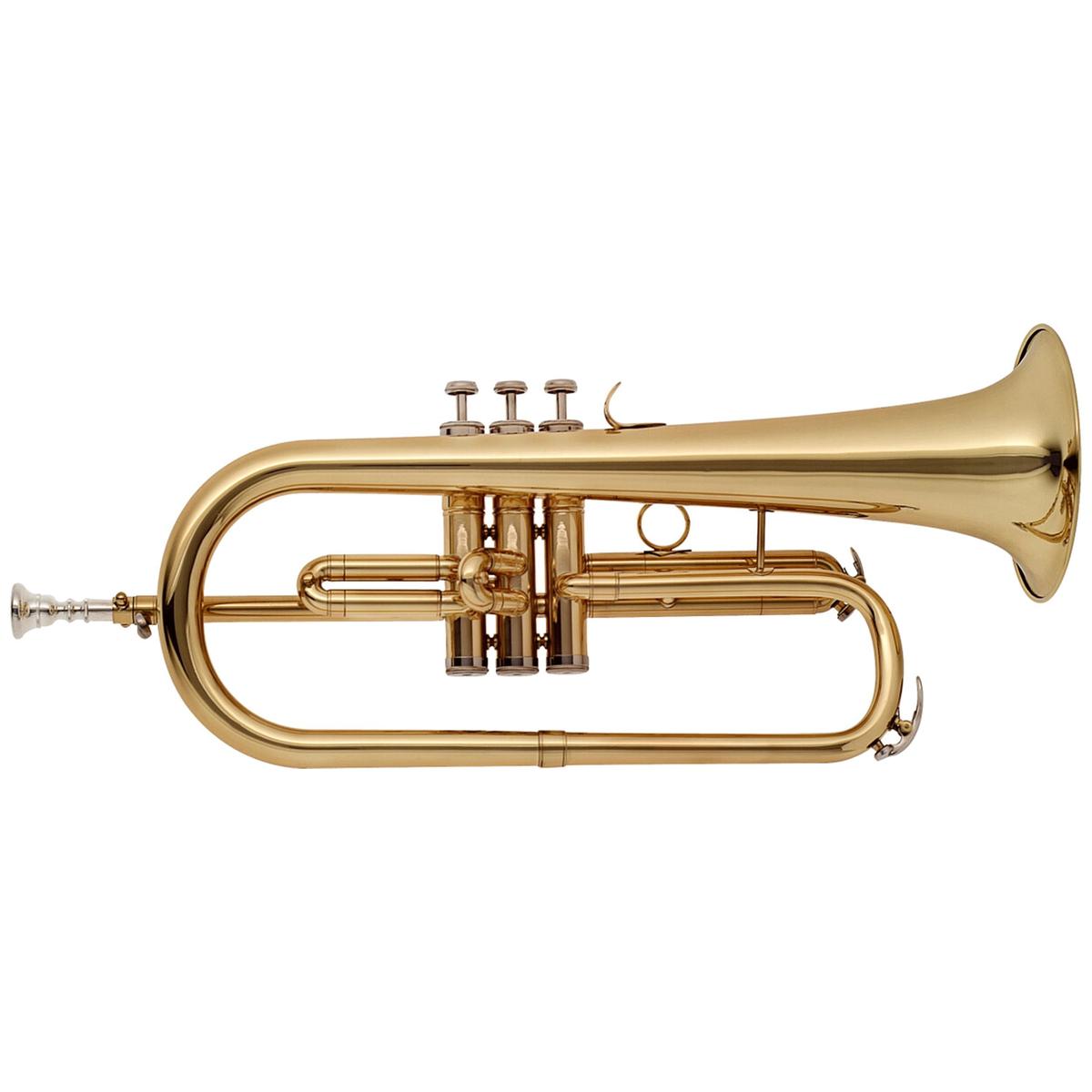 Stagg-WS-FH215-Bb-Flugelhorn-1 | Terry Carter Music Store
