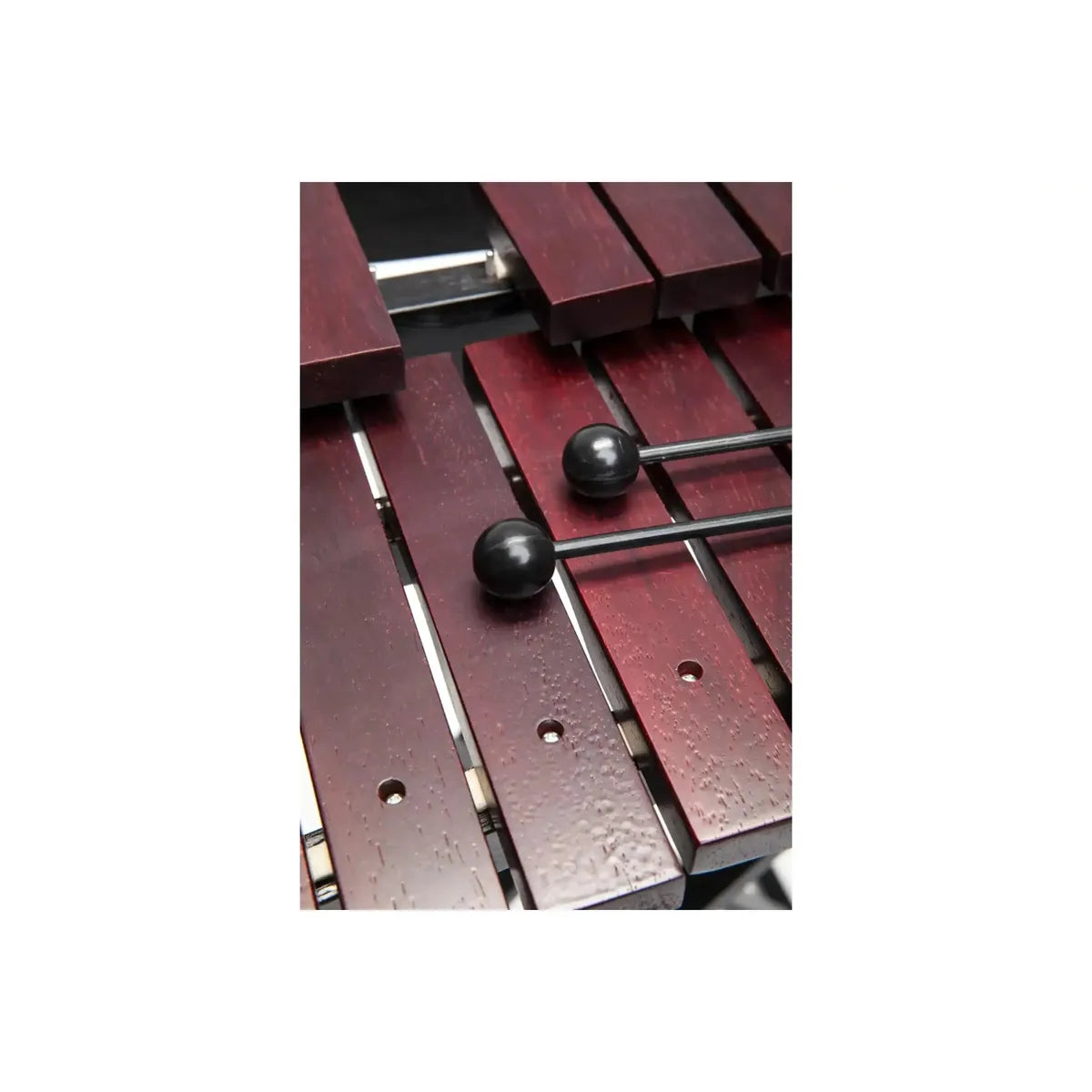 Stagg-XYLO-SET-37-Desktop-Xylophone2 | Terry Carter Music Store