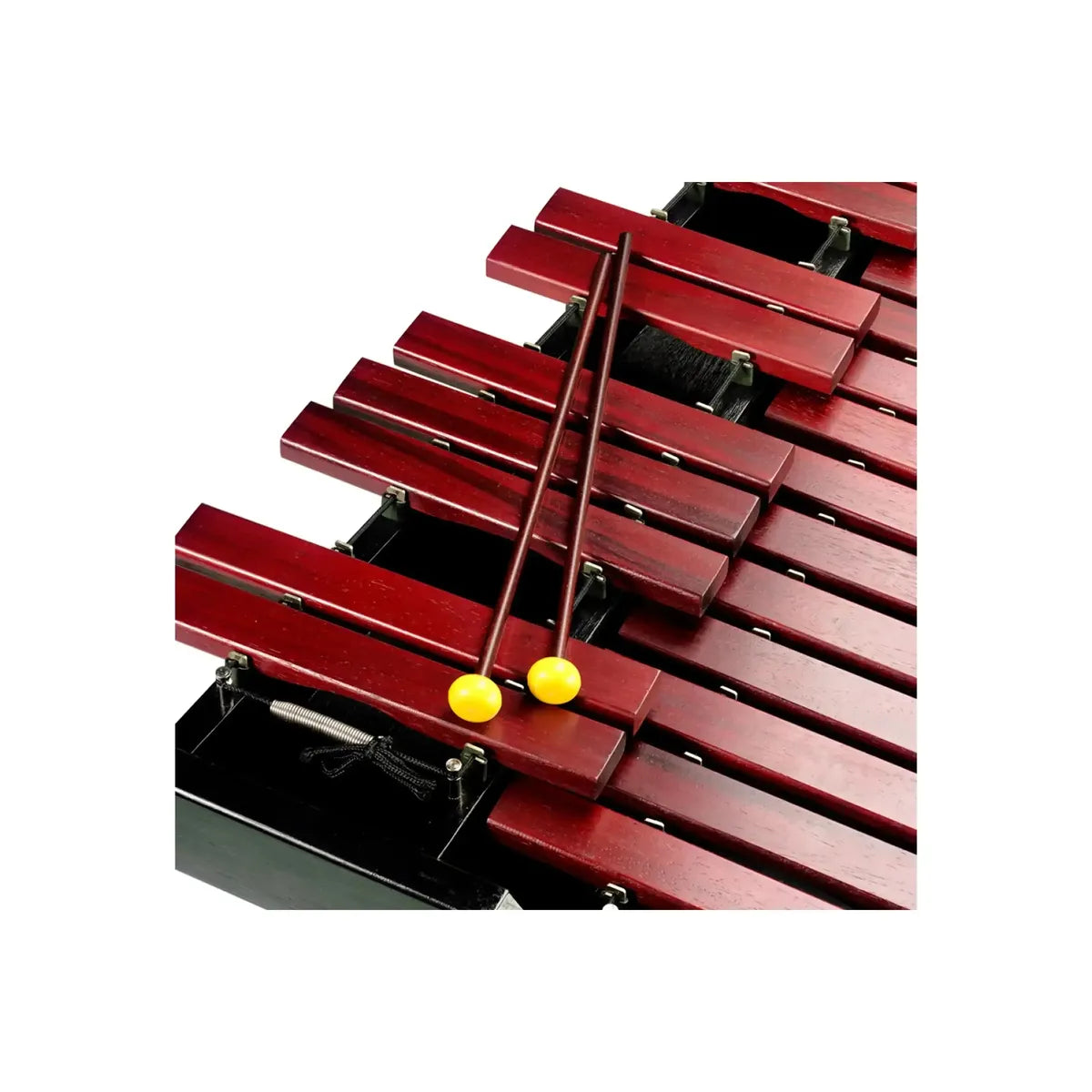 Lynhollynセット Stagg XYLO-SET 37 HG Professional Desktop Xylophone - Terry Carter