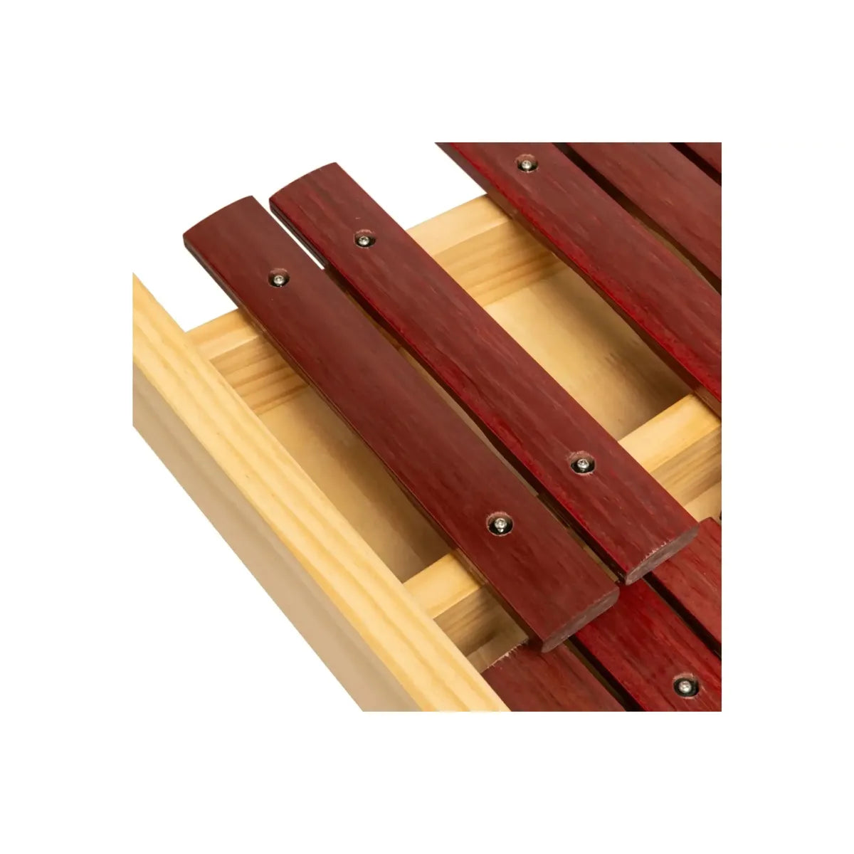 Stagg-XYLO-SET-37-SYN-Desktop-Synthetic-Xylophone5 | Terry Carter Music Store