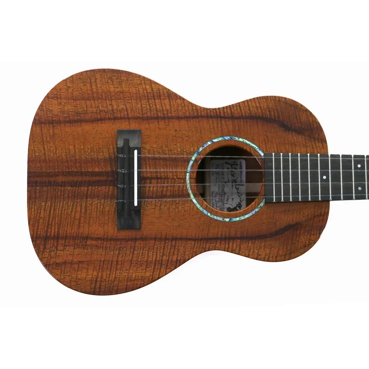 T-100-3 | Terry Carter Music Store