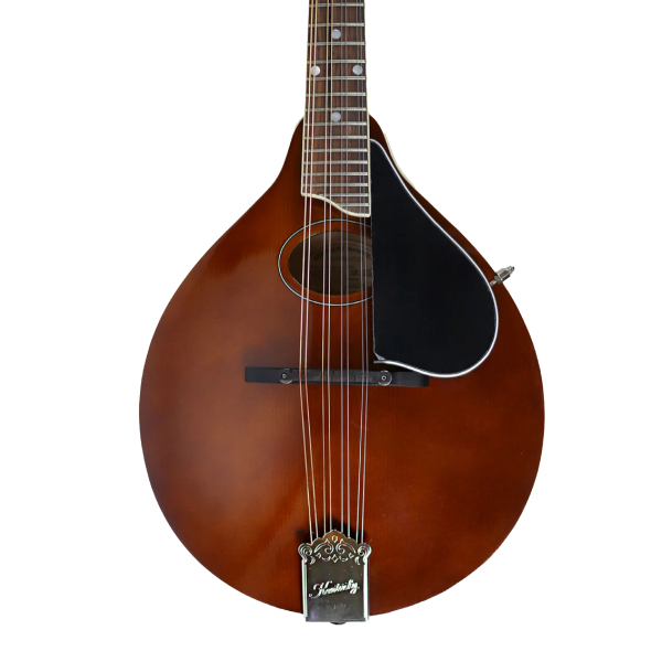kentucky mandolins