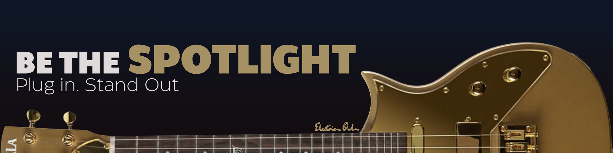 Promotional banner