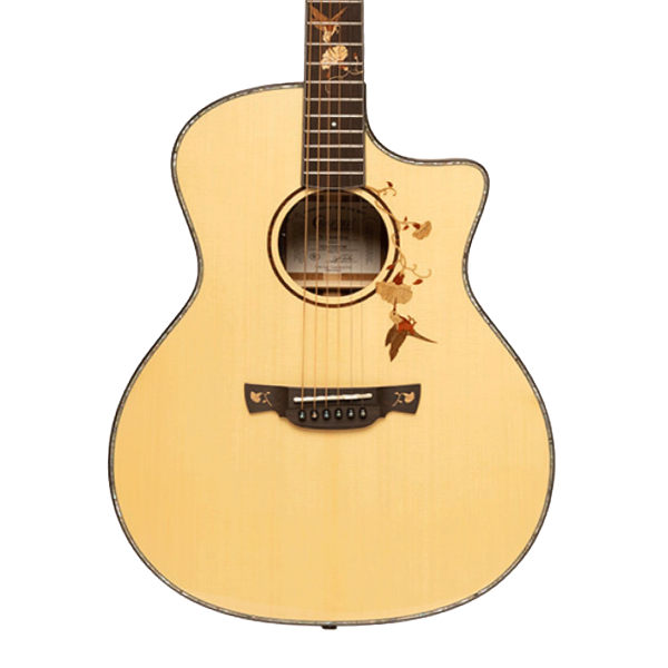 acoustic guitars