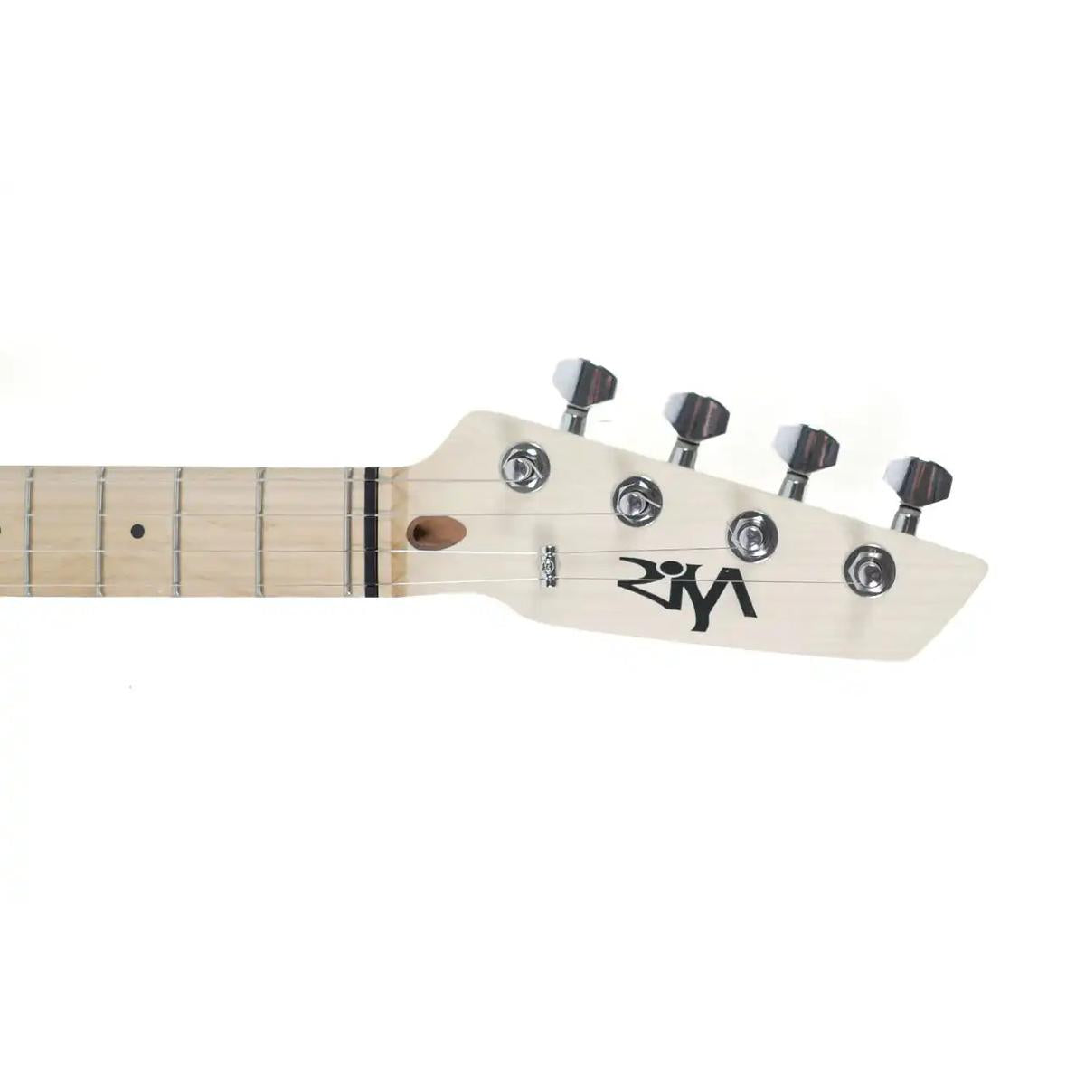 TE-432-Custom-Blue-2 | Terry Carter Music Store