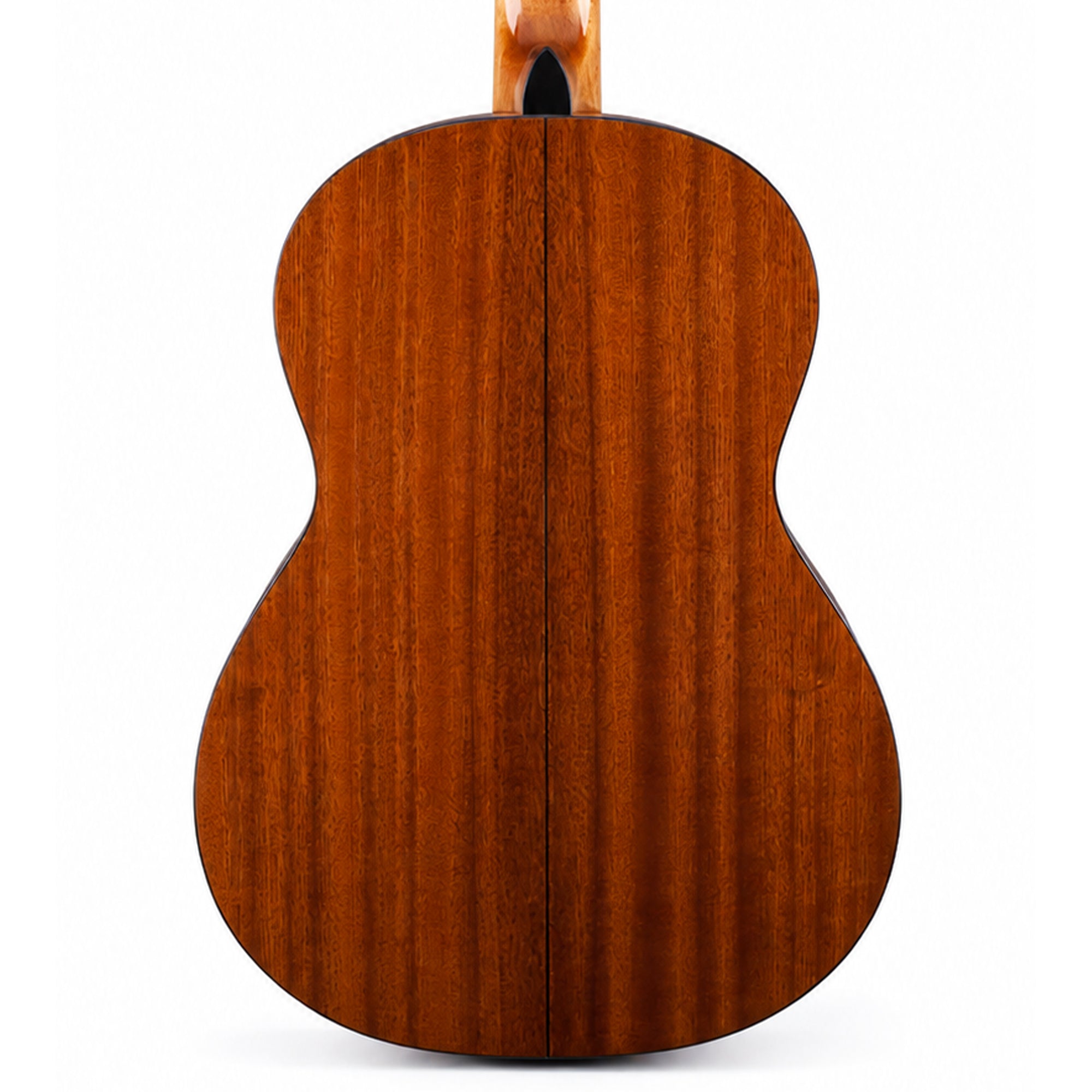 The back of a wooden Takamine GC3 guitar, showcasing a rich reddish-brown wood grain finish, isolated on a white background.