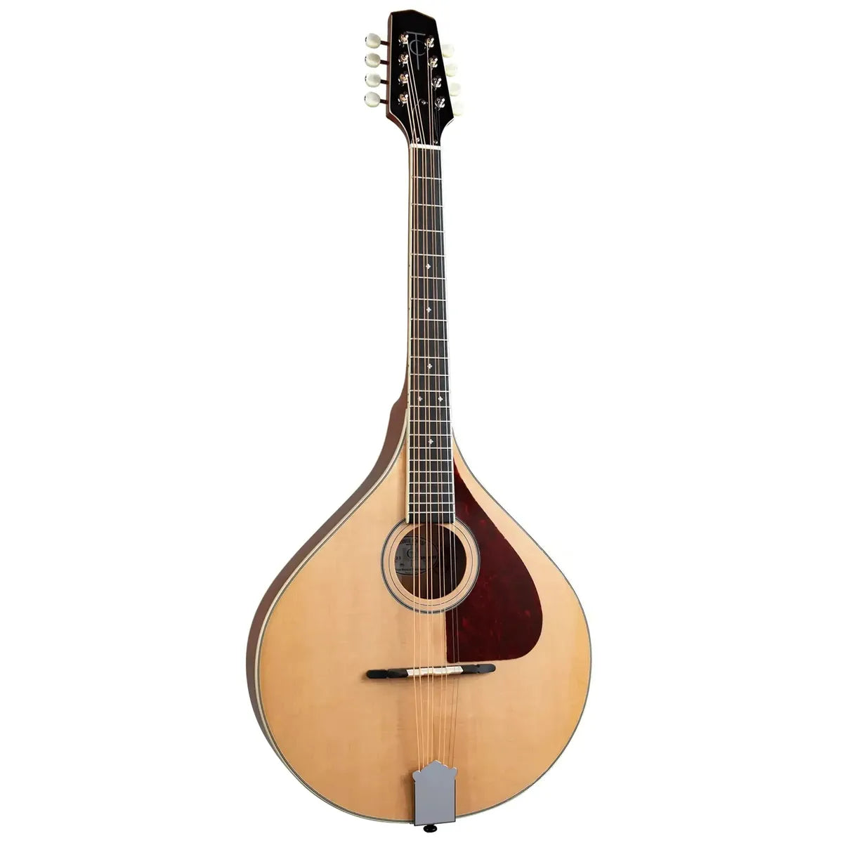Trinity-College-TM-3251 | Terry Carter Music Store