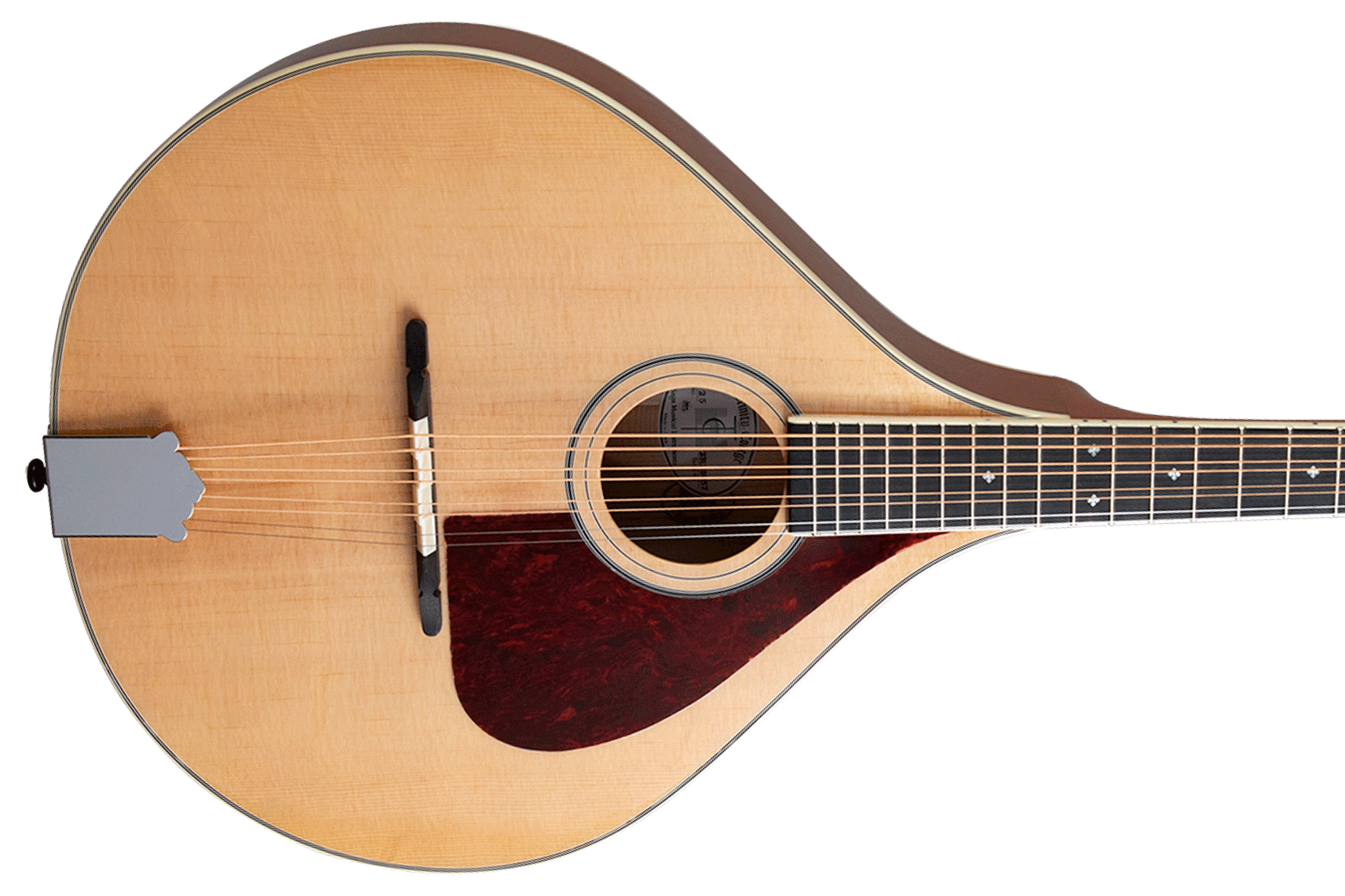 Trinity College TM-325