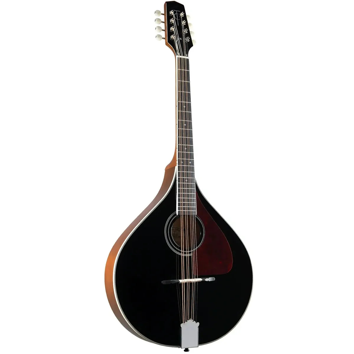 Trinity-College-TM-325B1 | Terry Carter Music Store