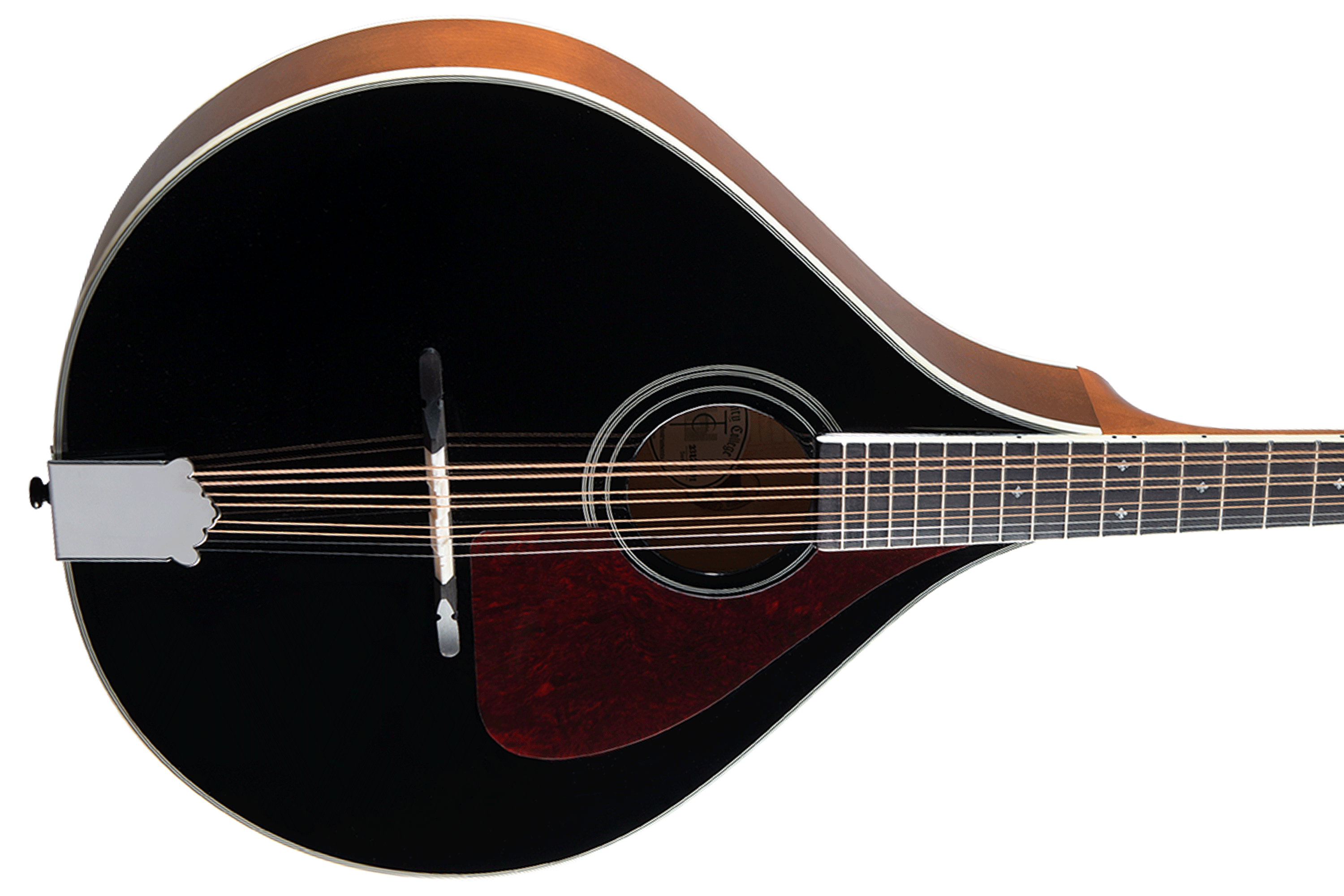 Trinity College TM-325B