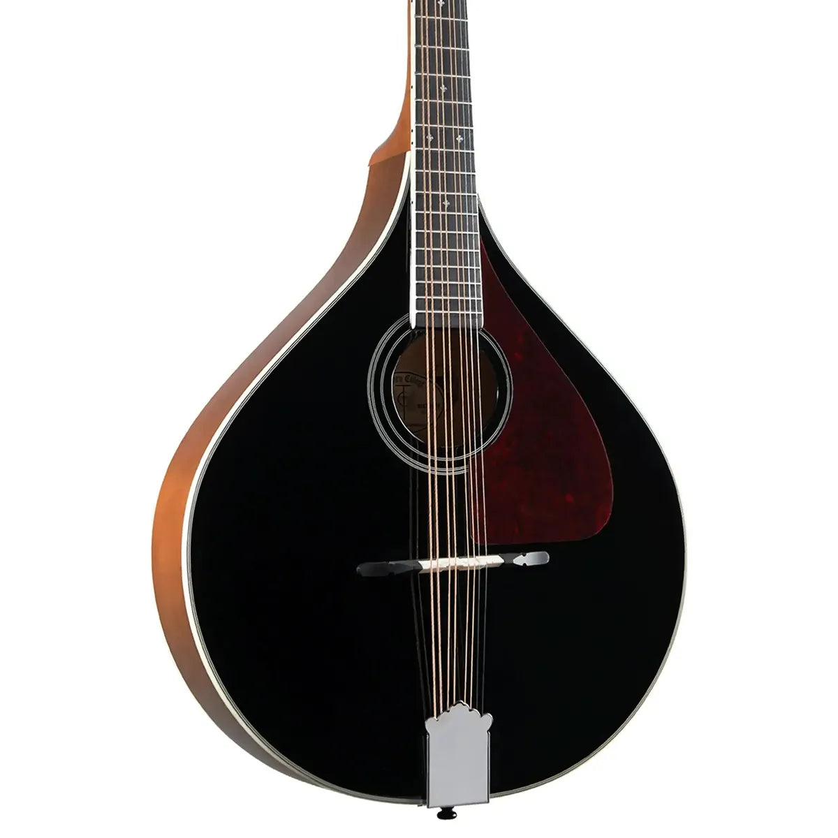 Trinity-College-TM-325B2 | Terry Carter Music Store