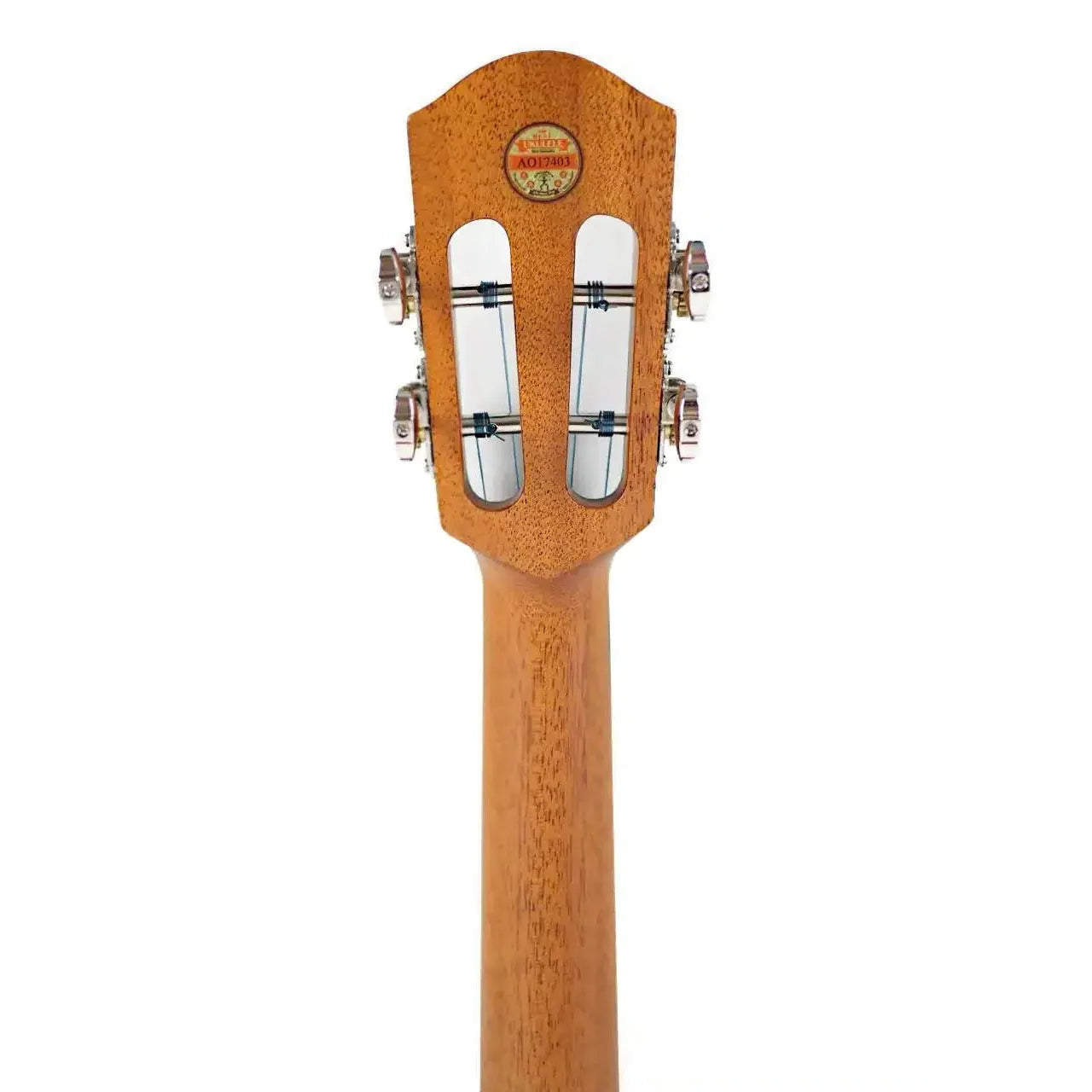 UT188_MB_6 | Terry Carter Music Store