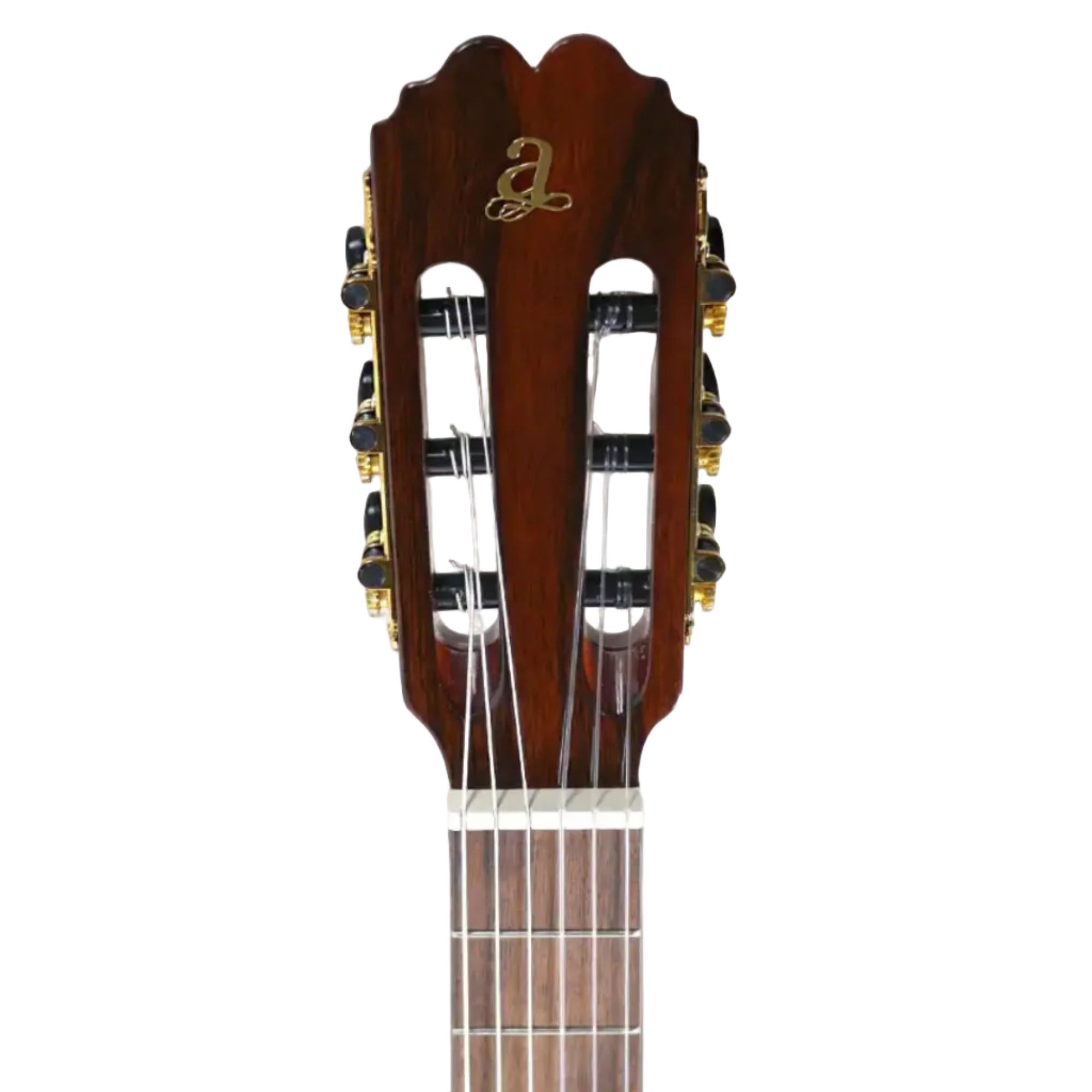 VIRTUOSO_ECTF_2_b5bc388e-94a6-4815-90eb-ca059e7b3413 | Terry Carter Music Store