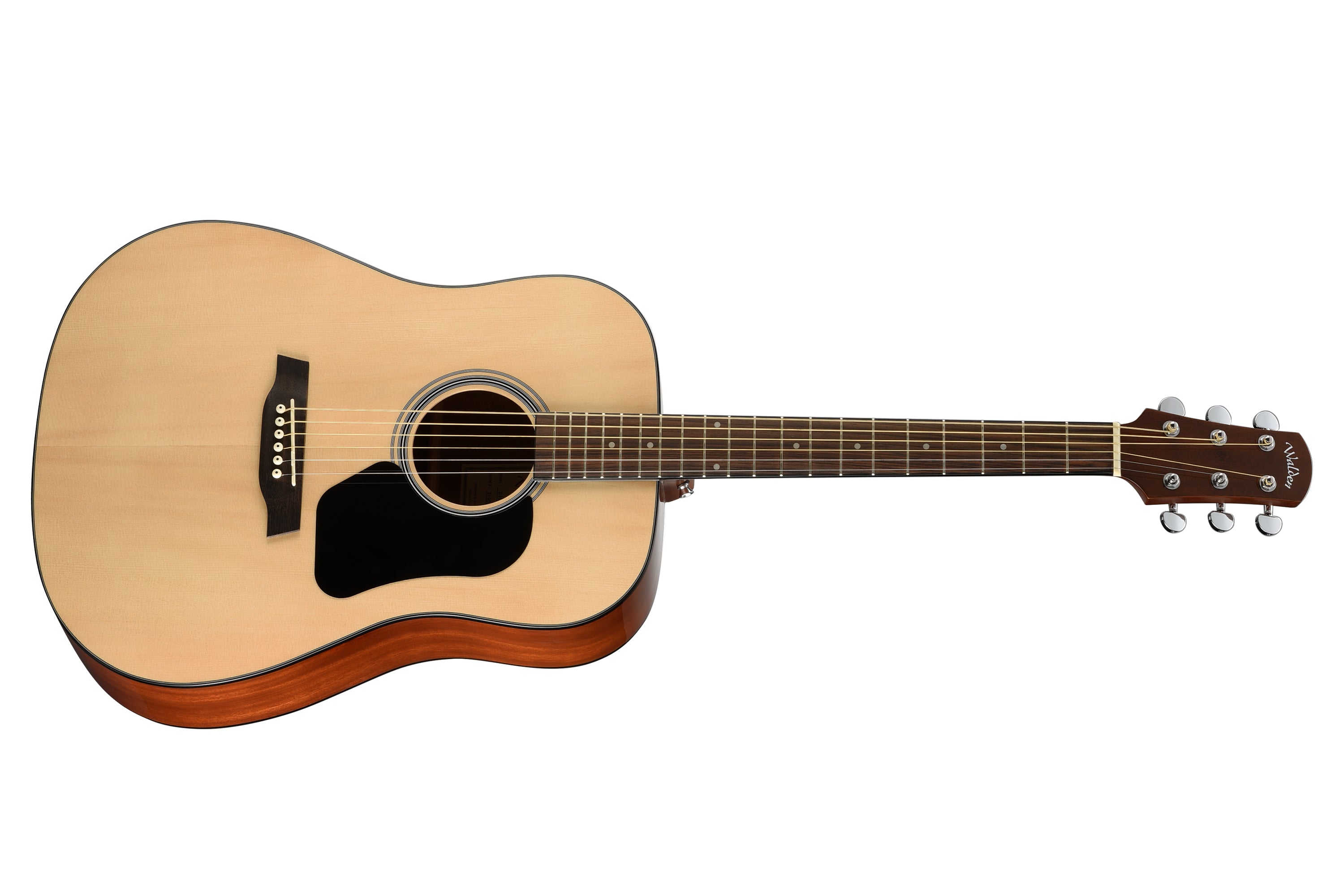 Walden D450 Acoustic Guitar