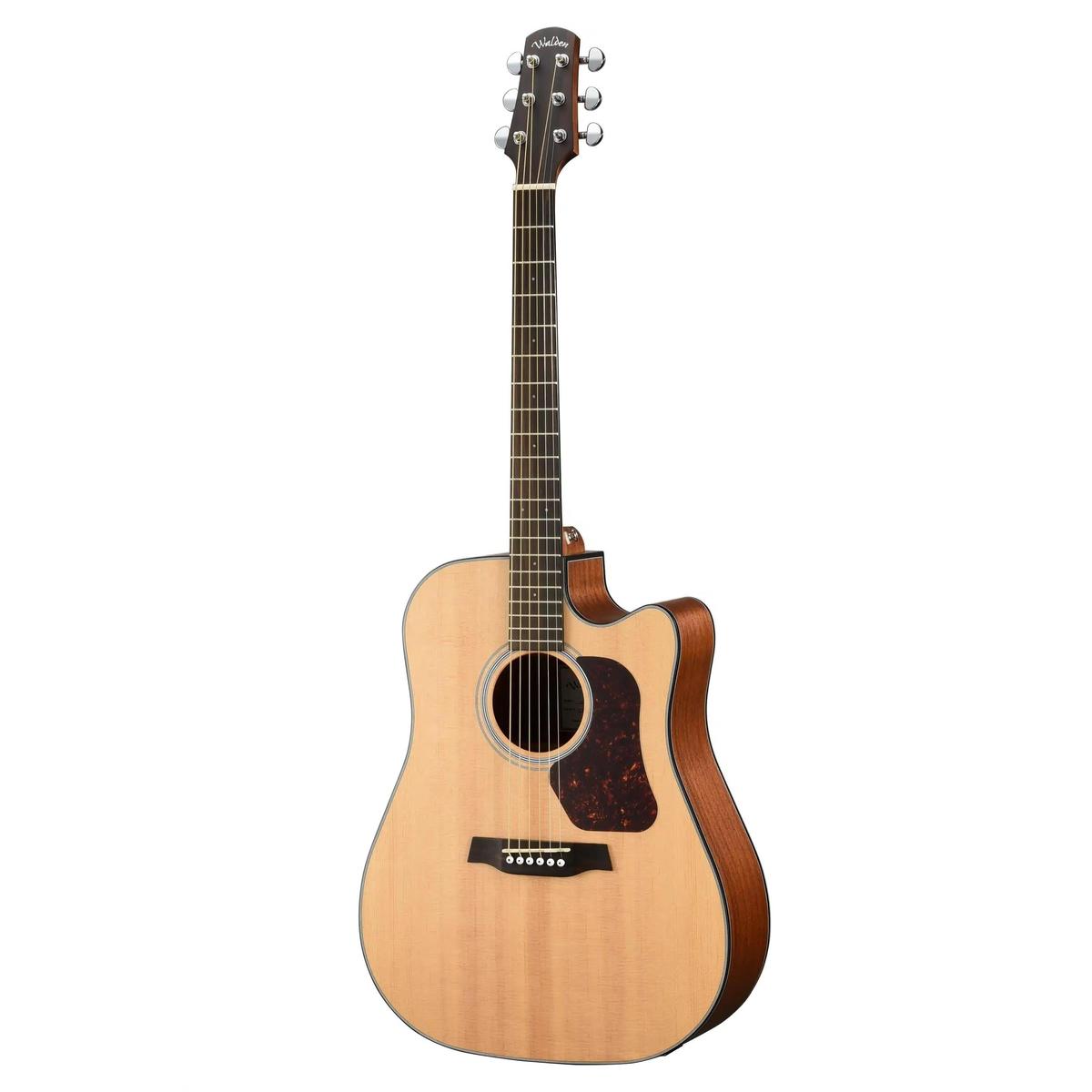 Walden-D550CE-Dreadnought-Guitar1 | Terry Carter Music Store