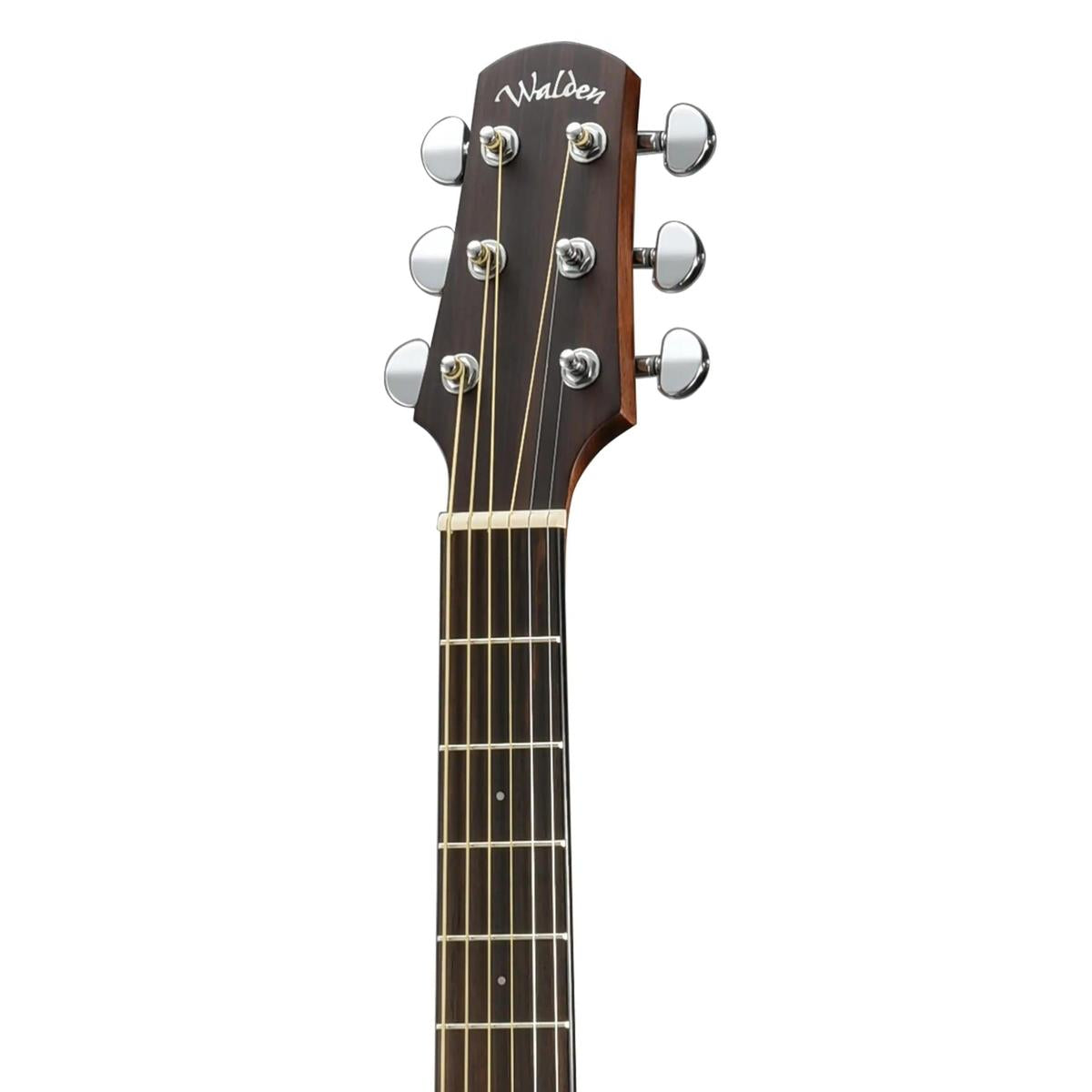 Walden-D550CE-Dreadnought-Guitar3 | Terry Carter Music Store