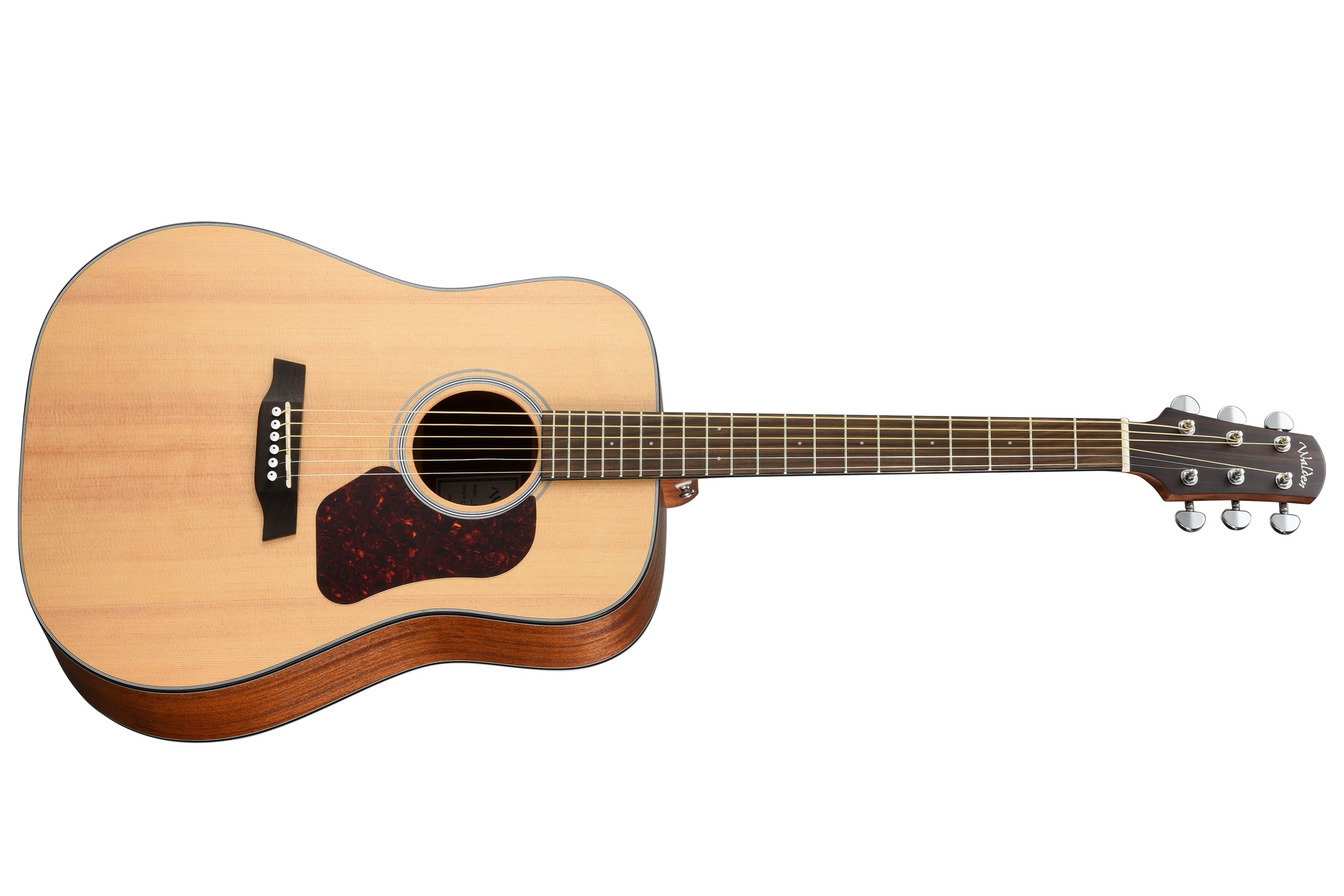 Walden D550E Dreadnought Guitar