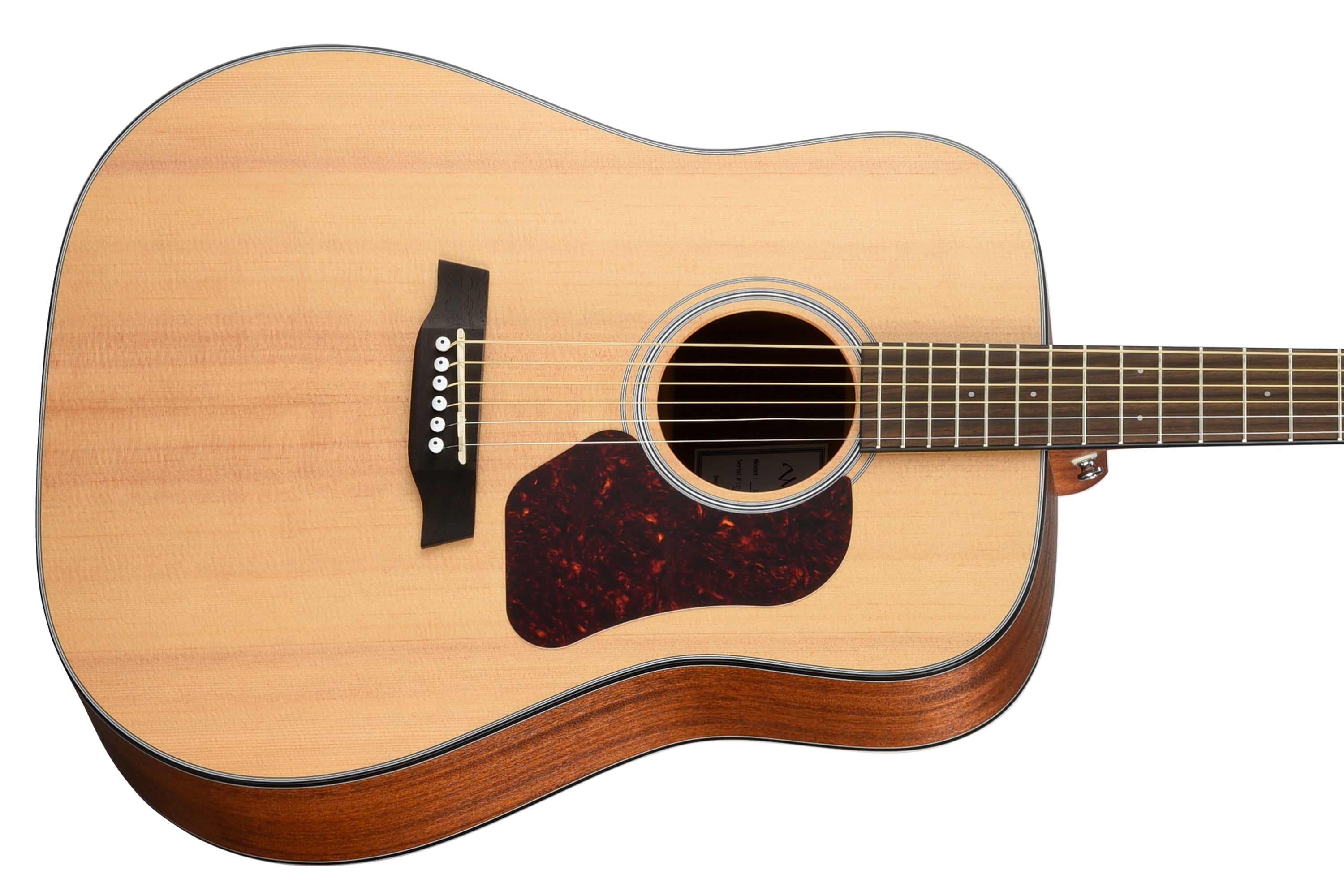 Walden D550E Dreadnought Guitar