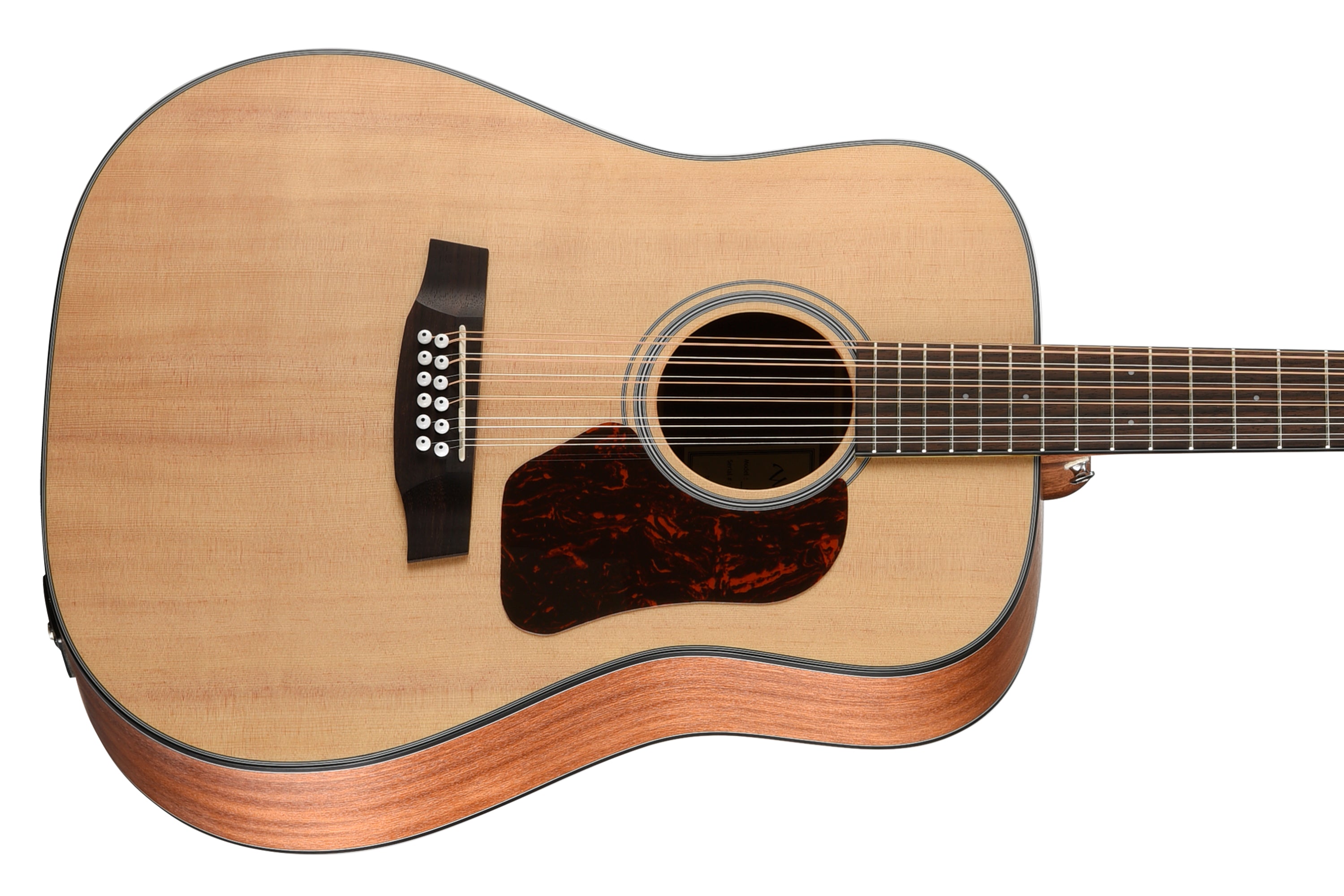 Walden D552E 12-String Guitar