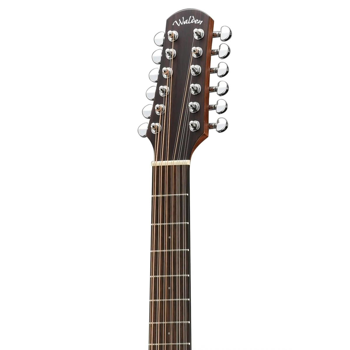 Walden-D552E-12-String-Guitar3 | Terry Carter Music Store