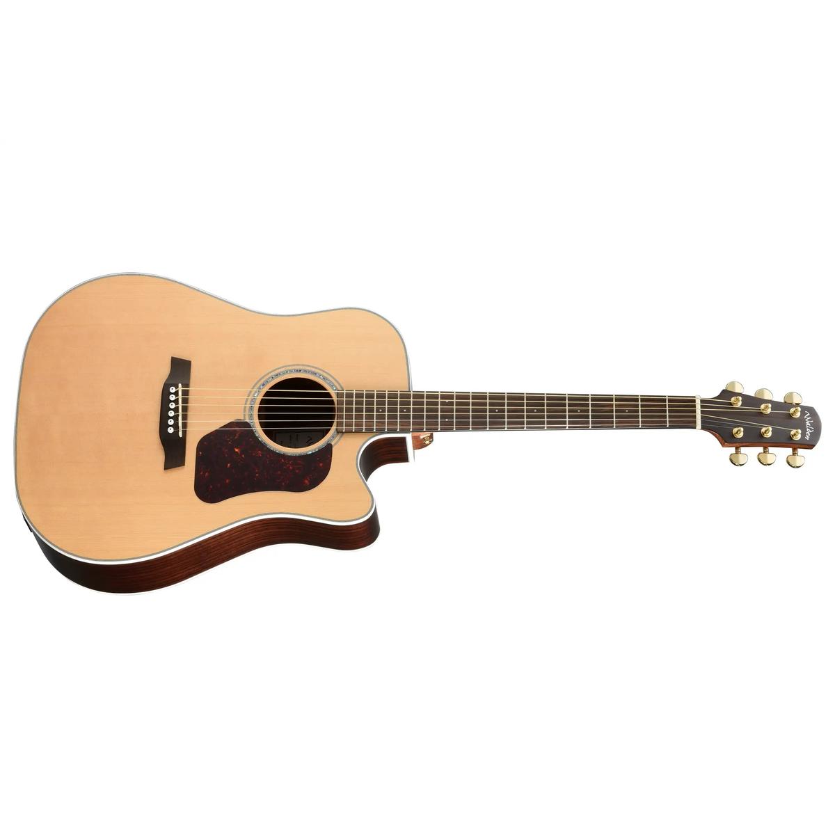 Walden-D600CE-Dreadnought-Guitar1 | Terry Carter Music Store