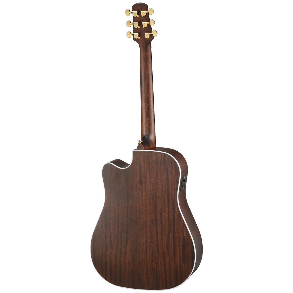 Walden-D603CE-Dreadnought-Guitar1 | Terry Carter Music Store