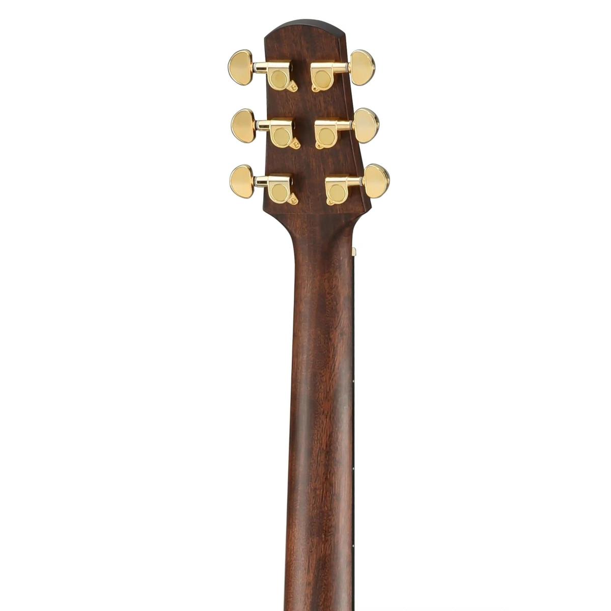 Walden-D603CE-Dreadnought-Guitar3 | Terry Carter Music Store