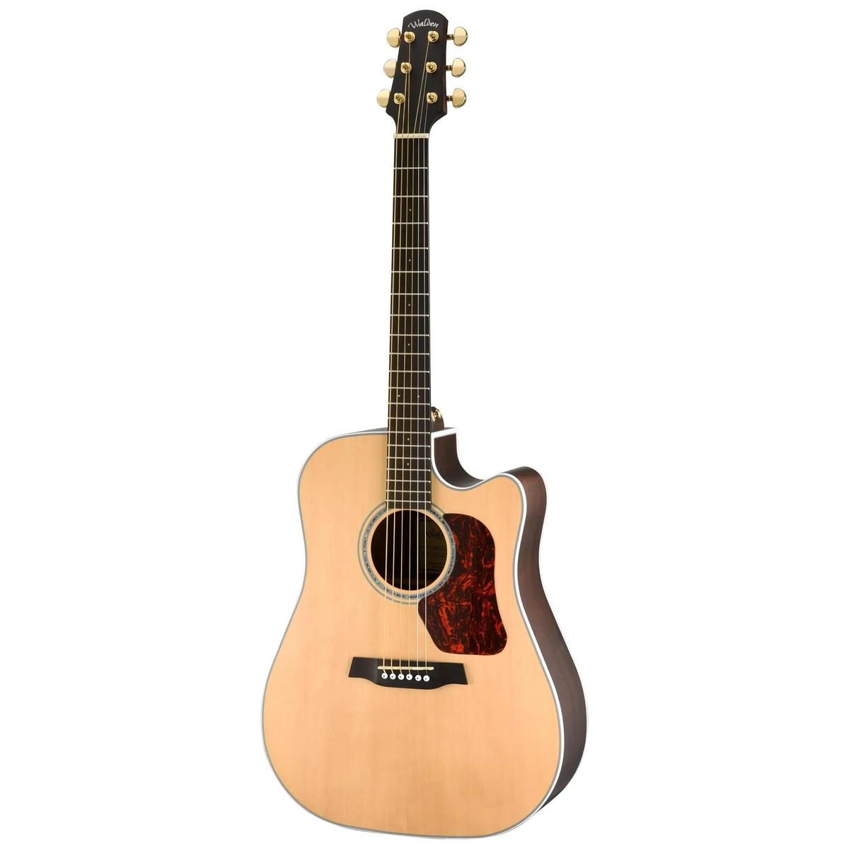 Walden-D603CE-Dreadnought-Guitar4 | Terry Carter Music Store