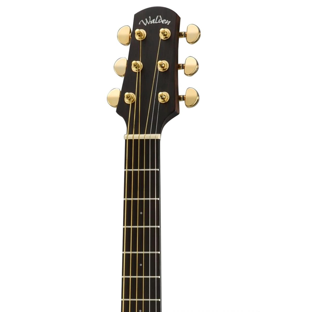 Walden-D603CE-Dreadnought-Guitar6 | Terry Carter Music Store