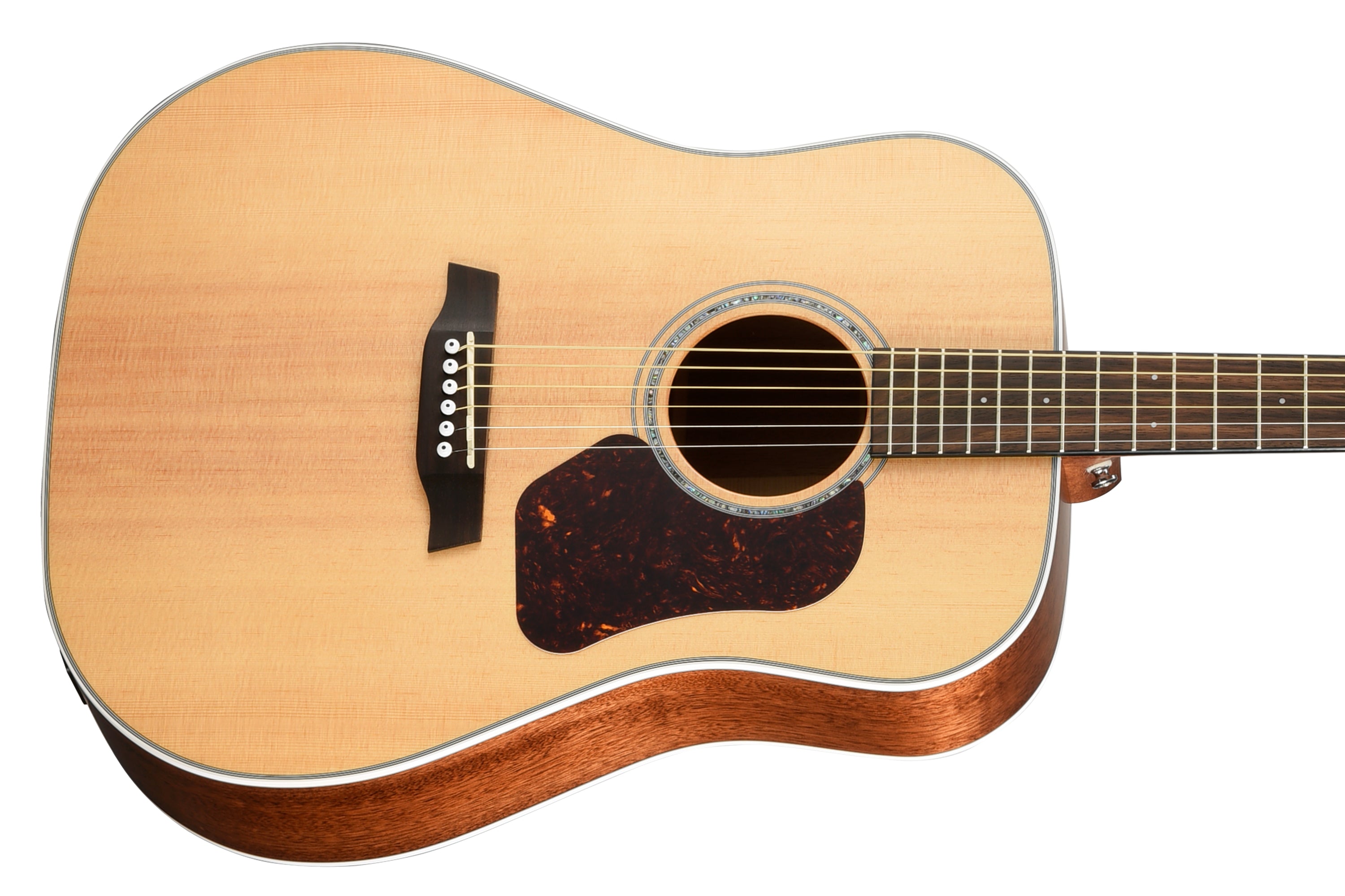 Walden D740E Dreadnought Guitar