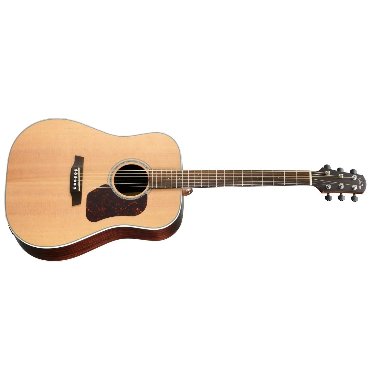 Walden-D800E-Dreadnought-Guitar1 | Terry Carter Music Store