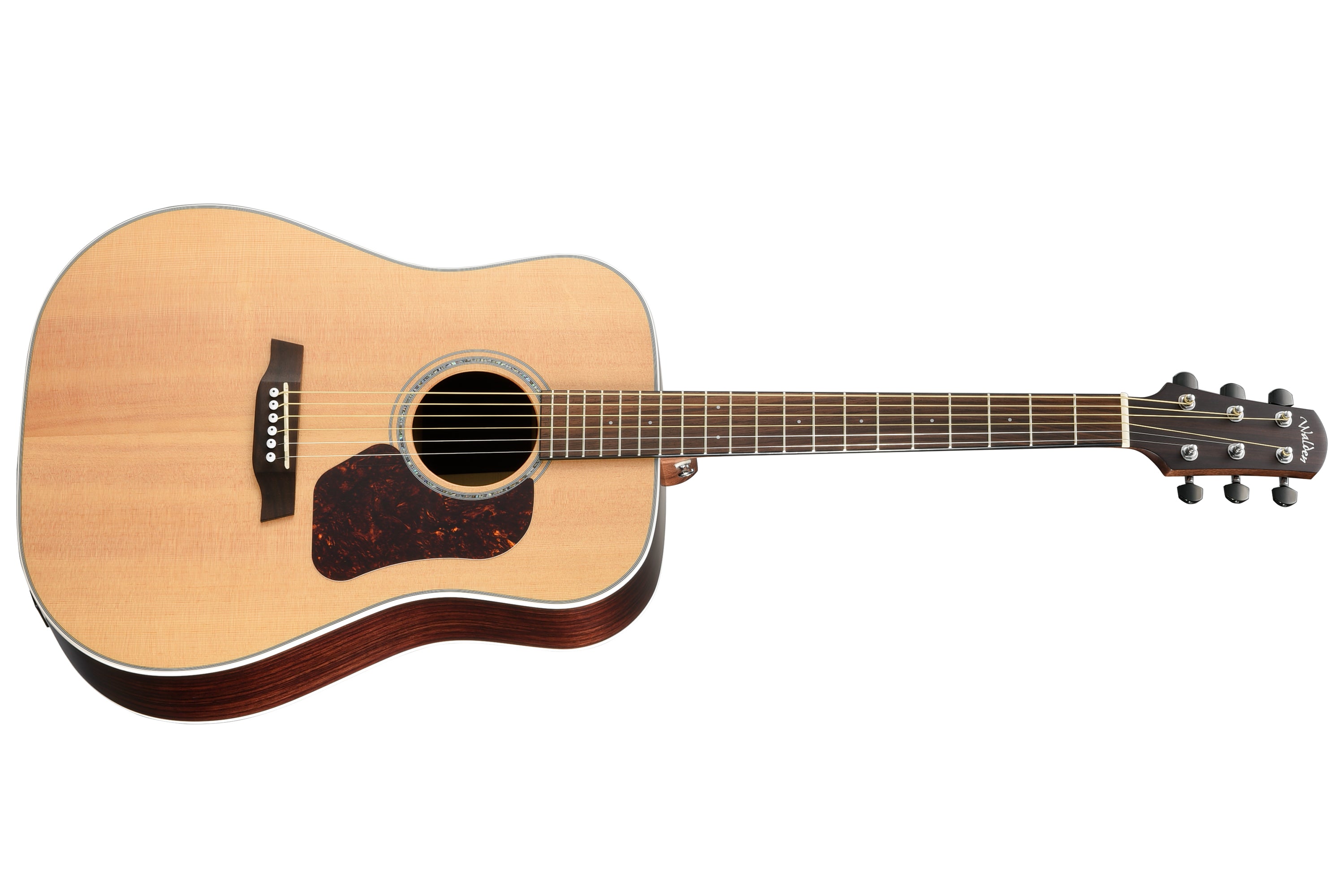 Walden D800E Dreadnought Guitar