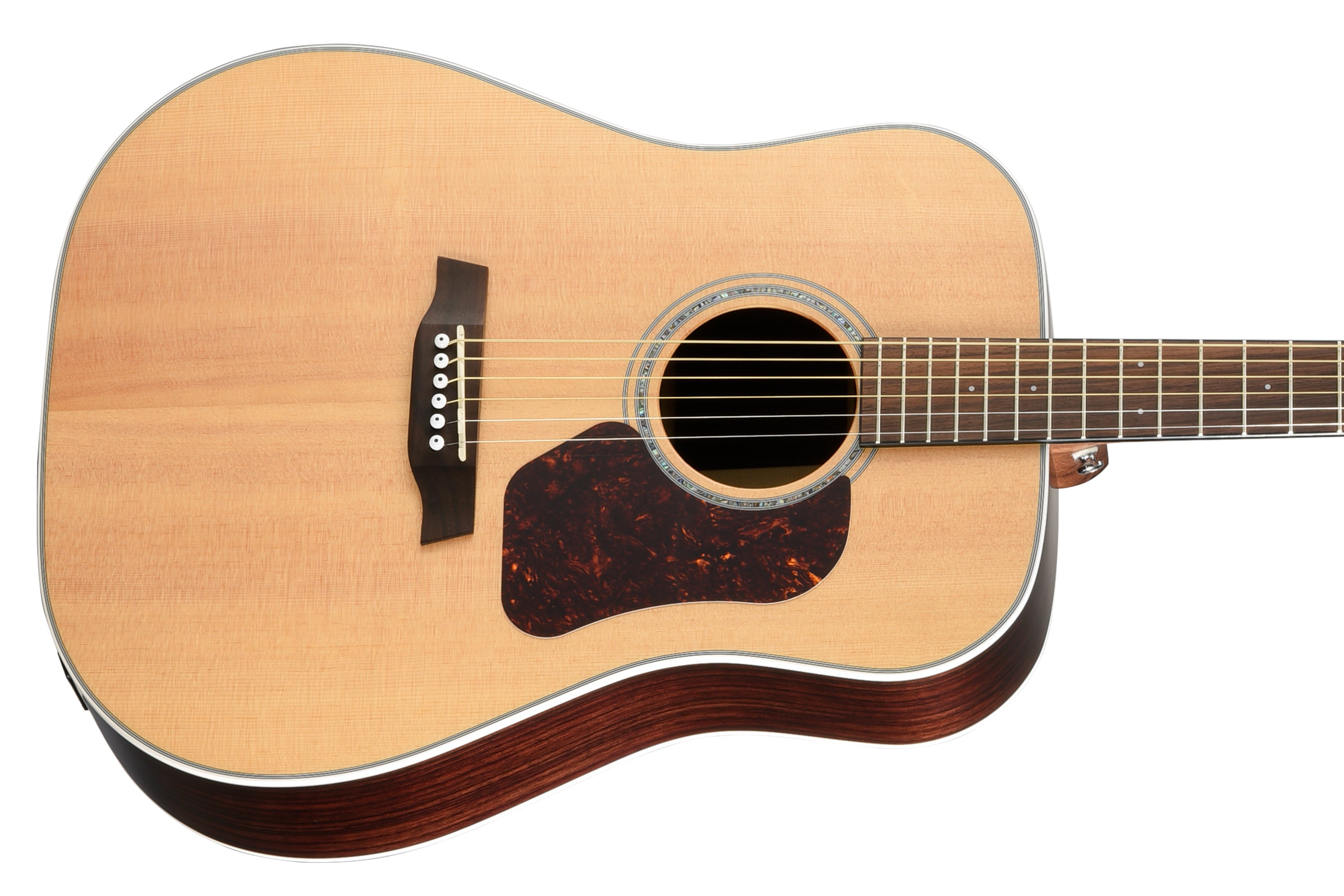 Walden D800E Dreadnought Guitar