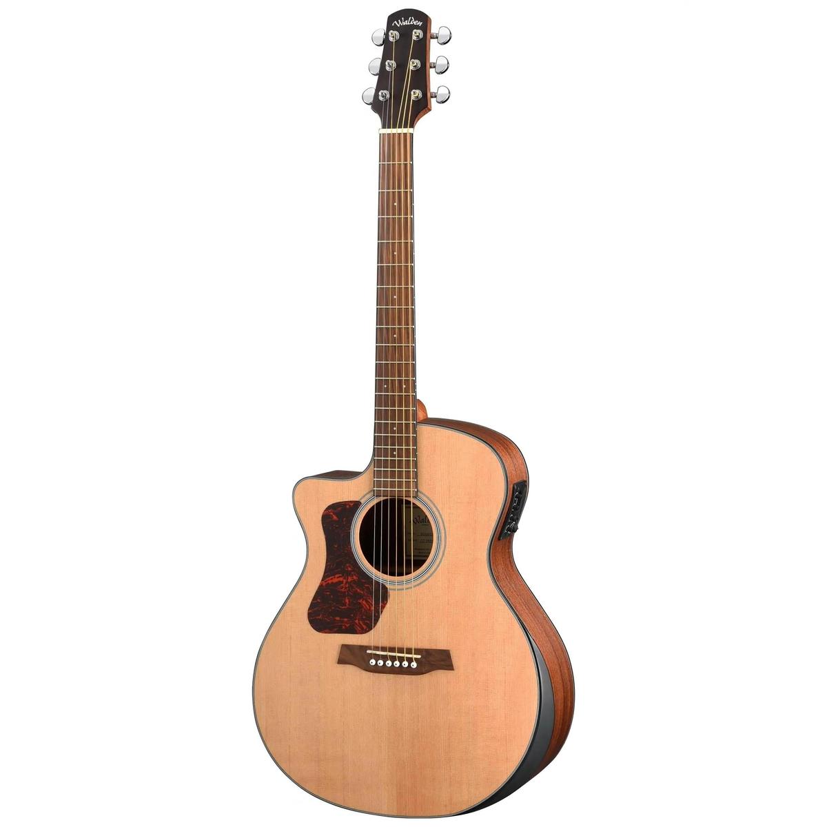 Walden-Guitars-G550RCEL-Auditorium-Guitar3 | Terry Carter Music Store