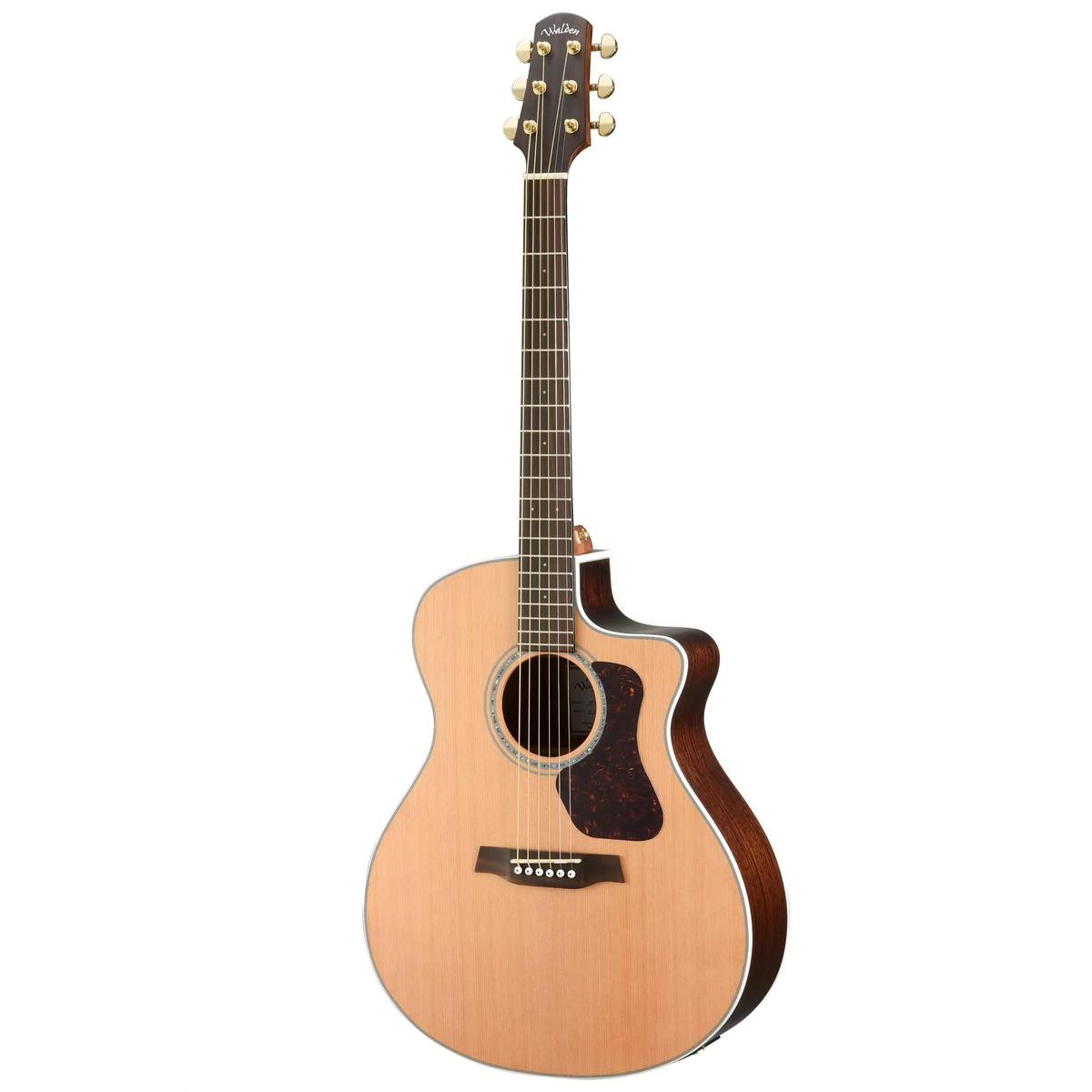 Walden-Guitars-G630CE1 | Terry Carter Music Store